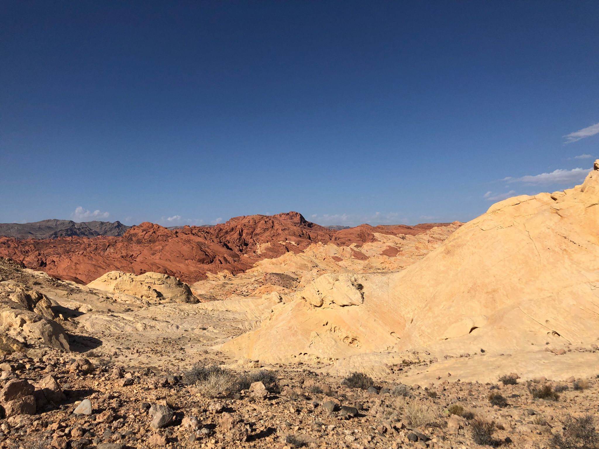 Vast desert landscape with colorful red and tan rock formations under clear sky. - Silica Dome Trail