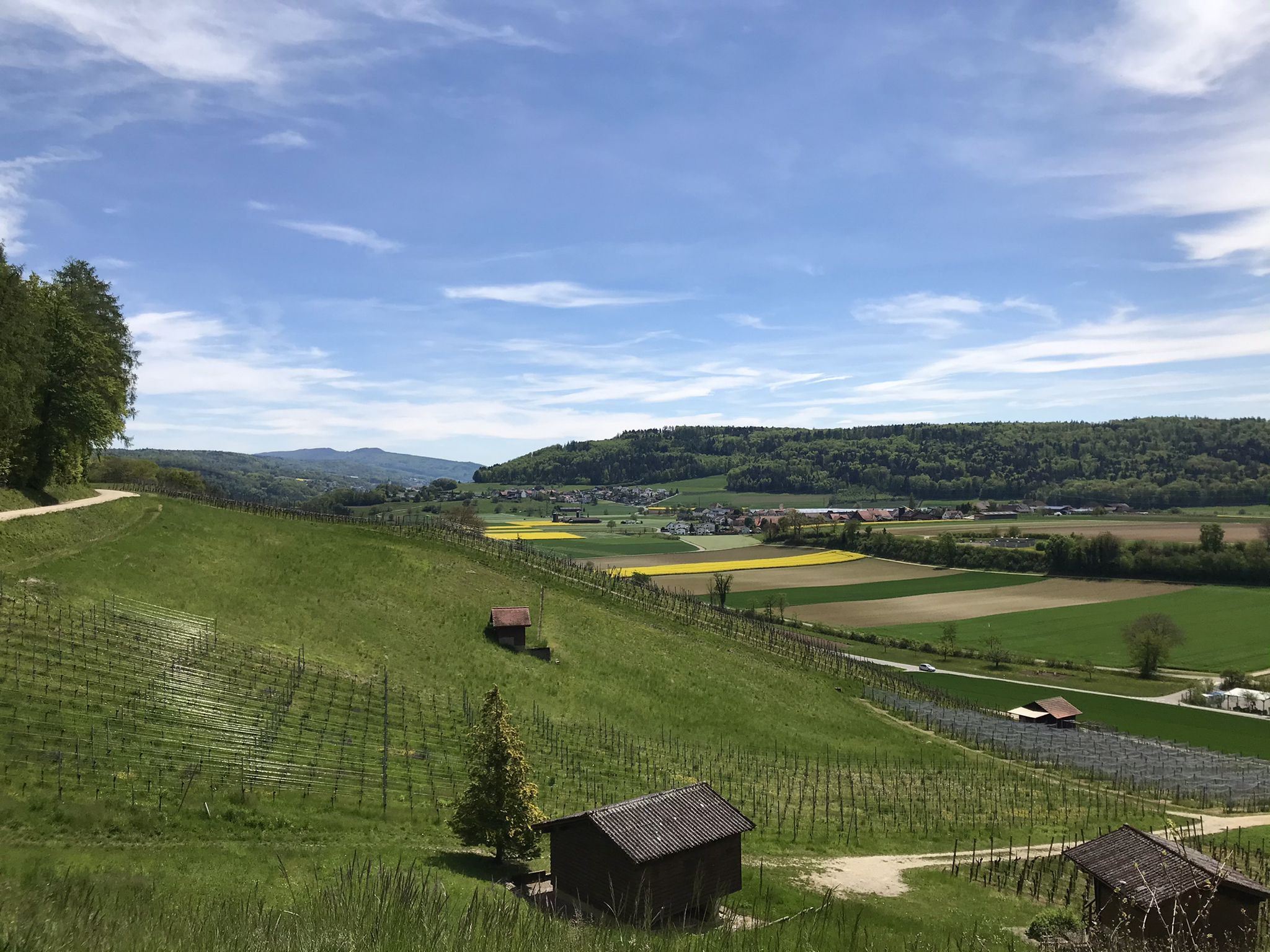 Remiger Rebberg
