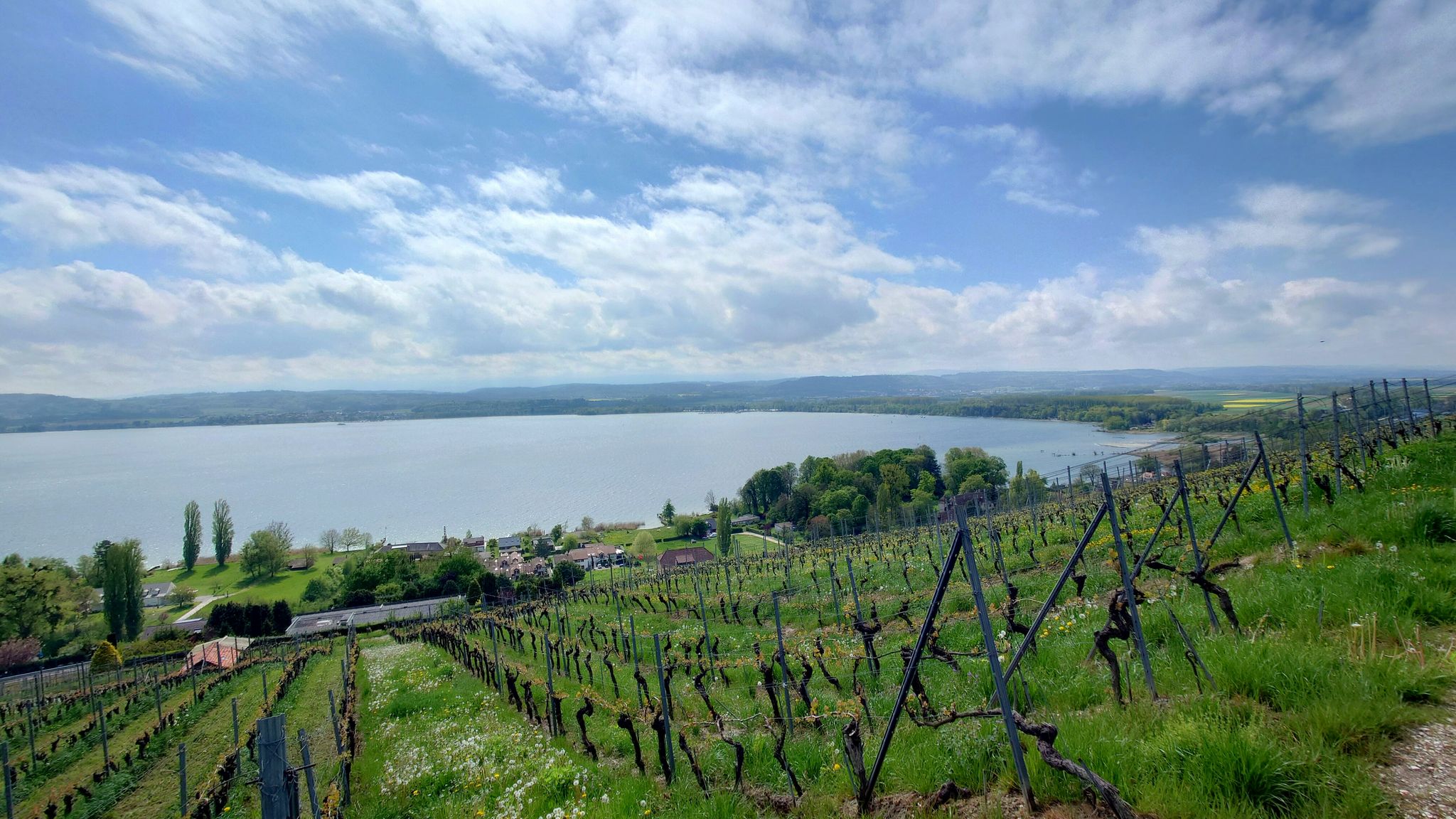 Das Wetter wird sonniger 👍🏼
