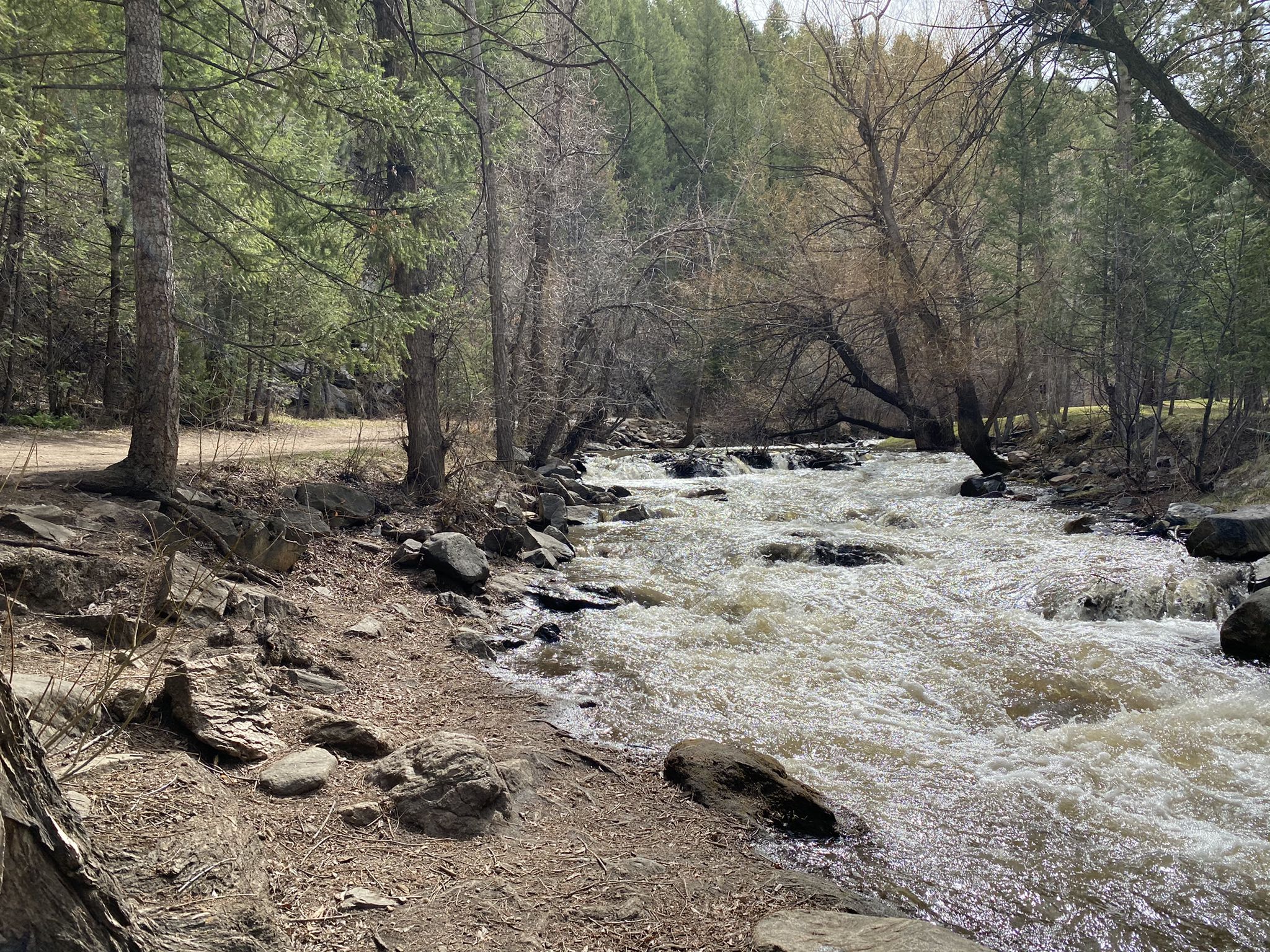 Rushing river flowing through a rocky, wooded area with bare trees. - Bruin Bluff Trail Loop