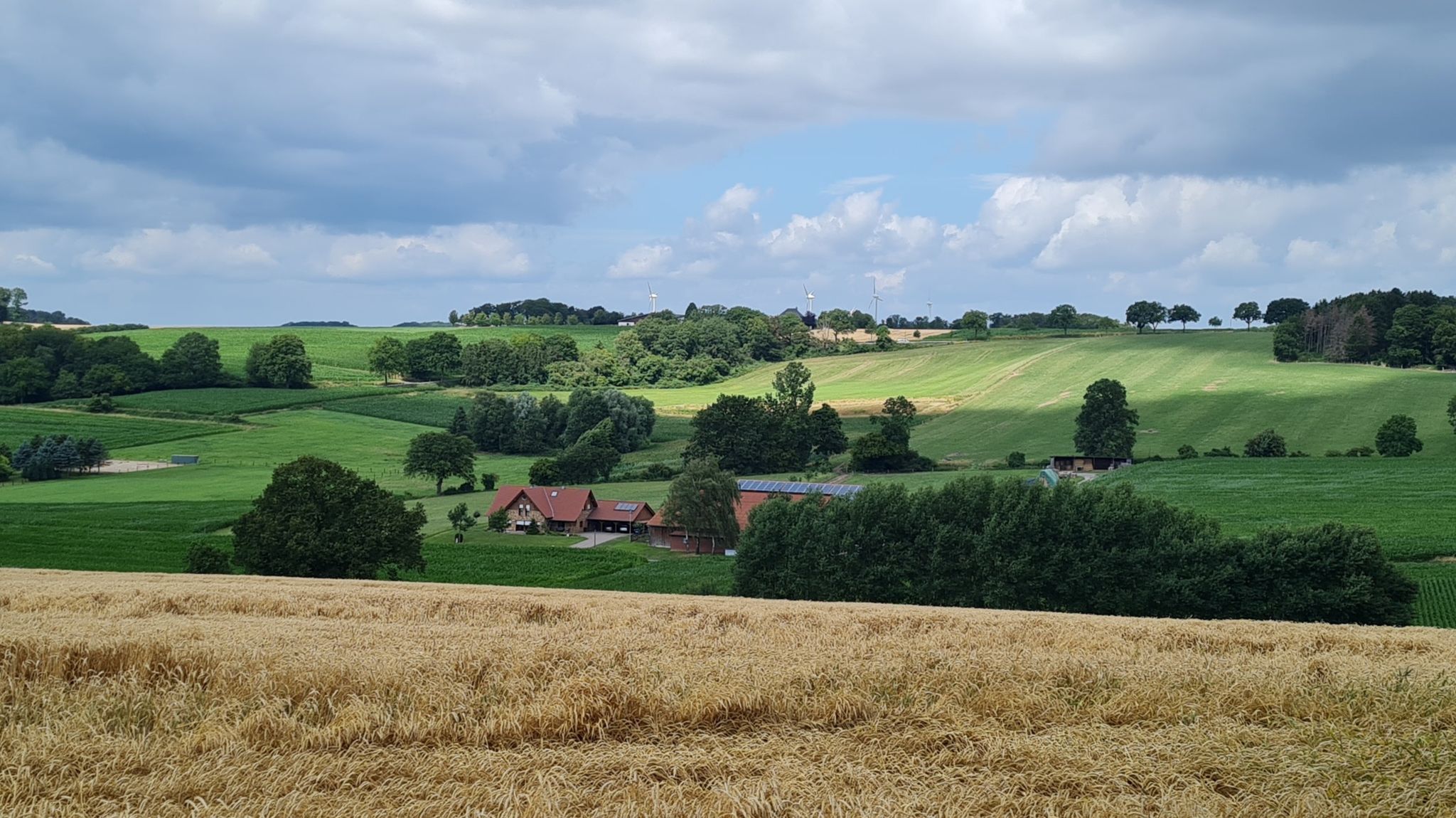 Aussichtspunkt Hengwehr und Hanloer Mark