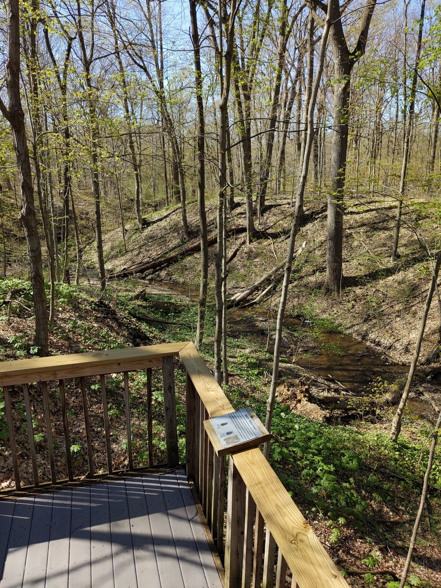 Stream overlook
