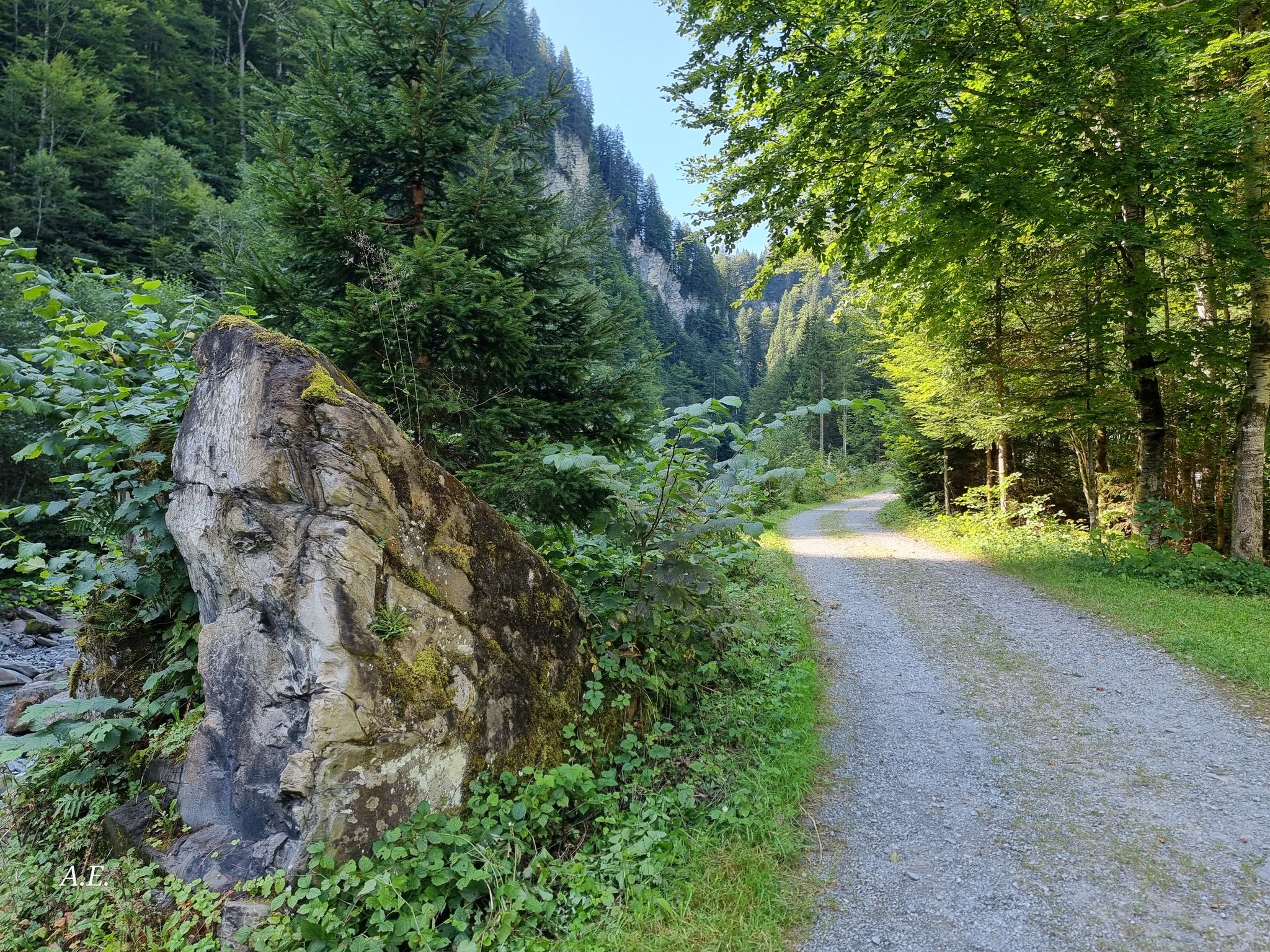 schöner gemütlicher Weg