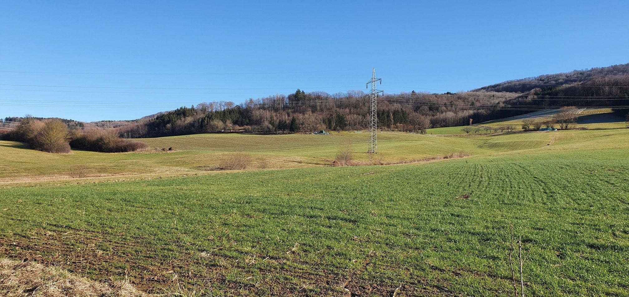 gute Sicht auf das Feld