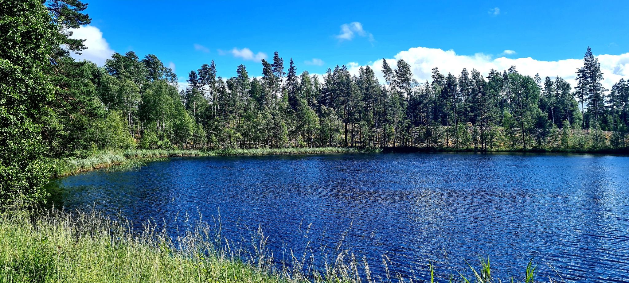 Noch ein See ( seltener Anblick hier in Schweden)