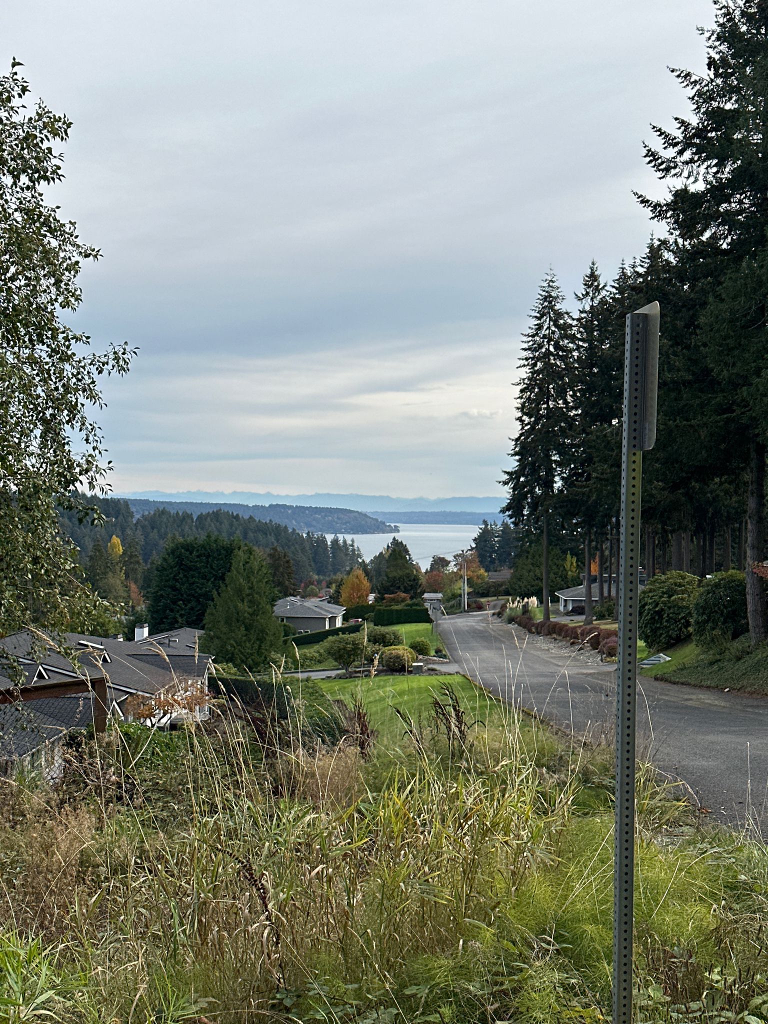 Overcast view of a residential street descending towards a large body of water. - Cushman Trail