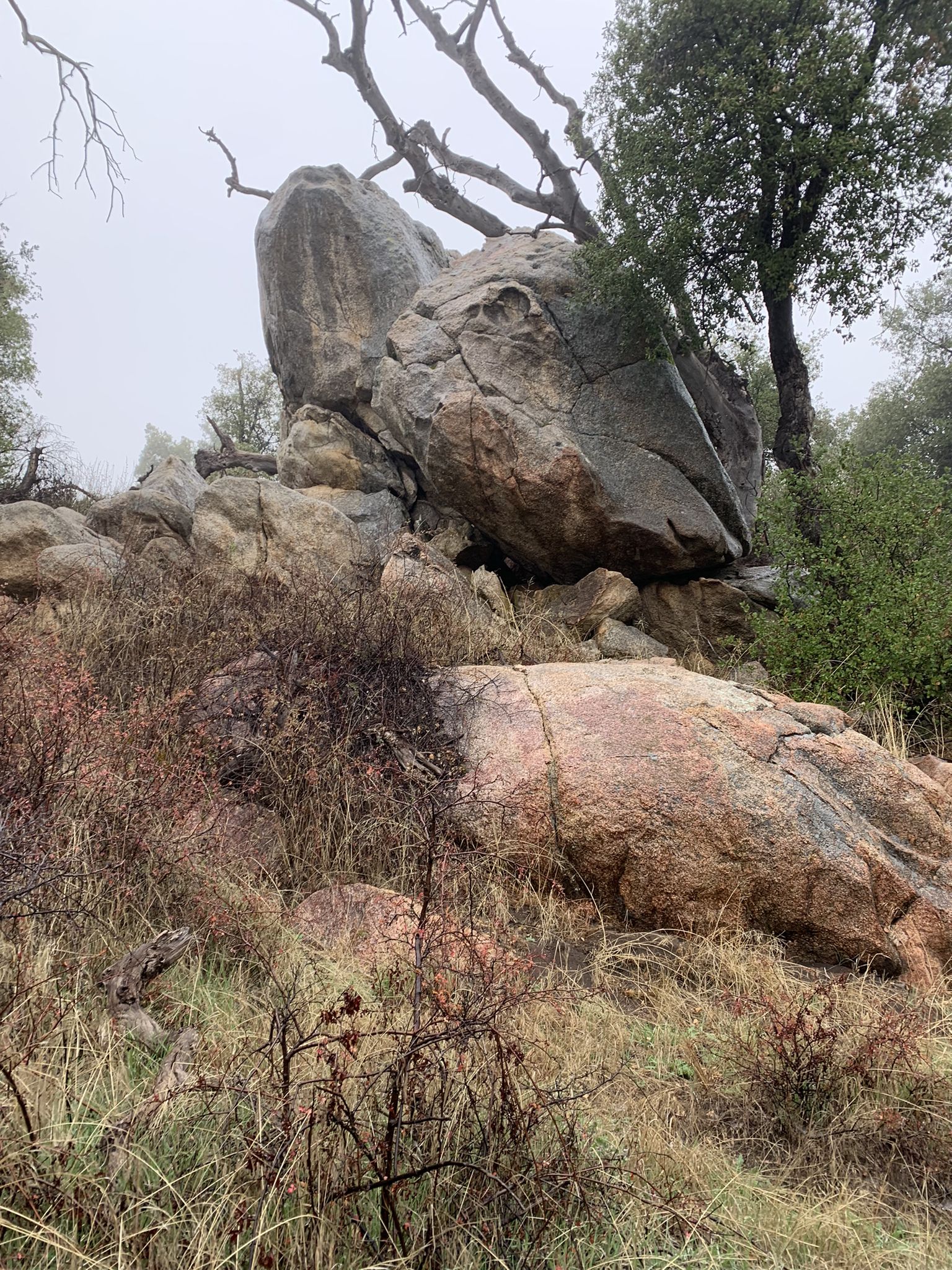 Large boulders and dry grass on a rocky hillside under an overcast sky. - Eastside Trail – Upper Descanso Creek Trail loop from 11