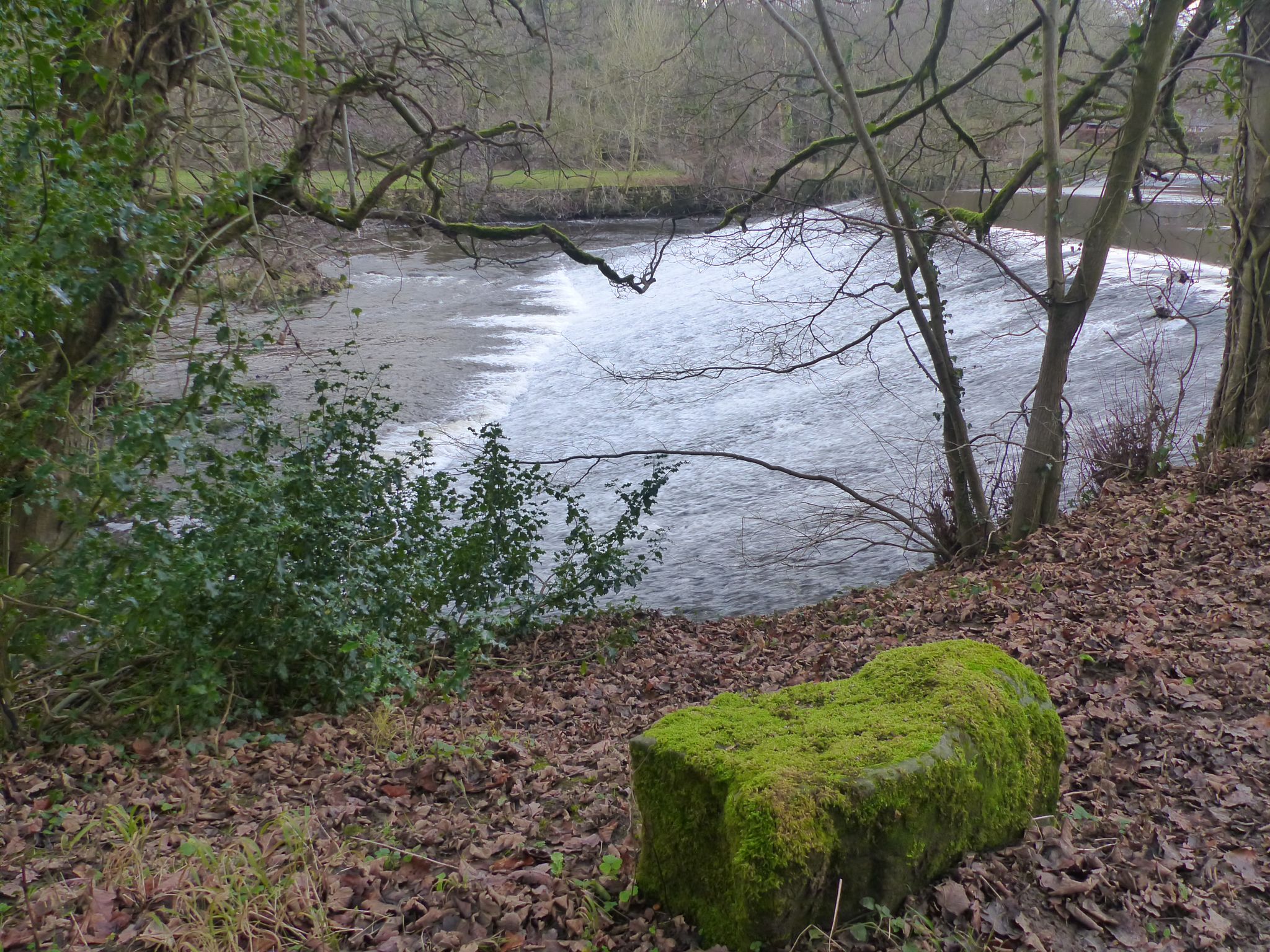 Weir on Derwent