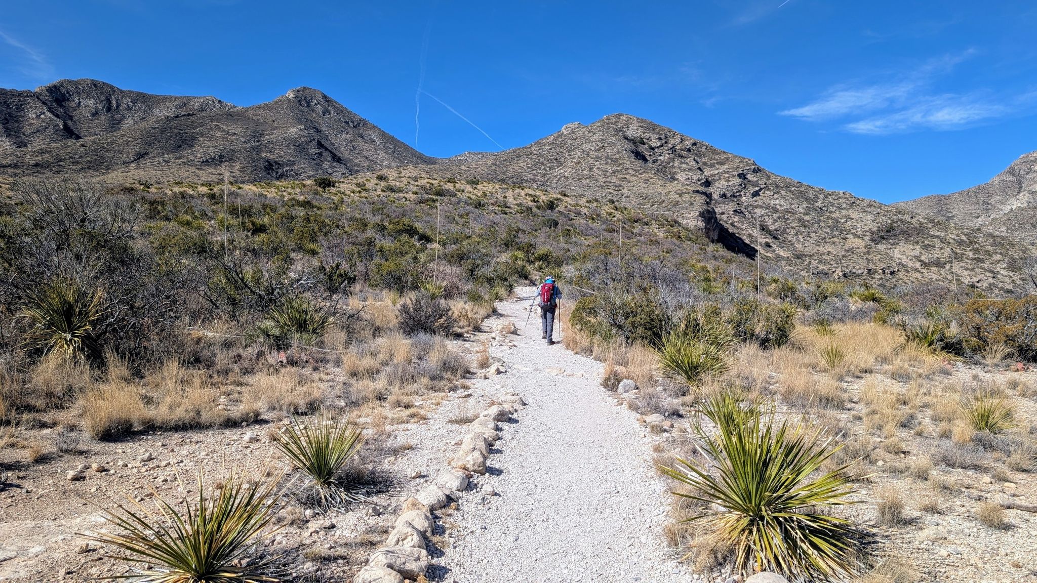A person hikes a gravel path through desert plants towards distant mountains. - Permian Reef Trail