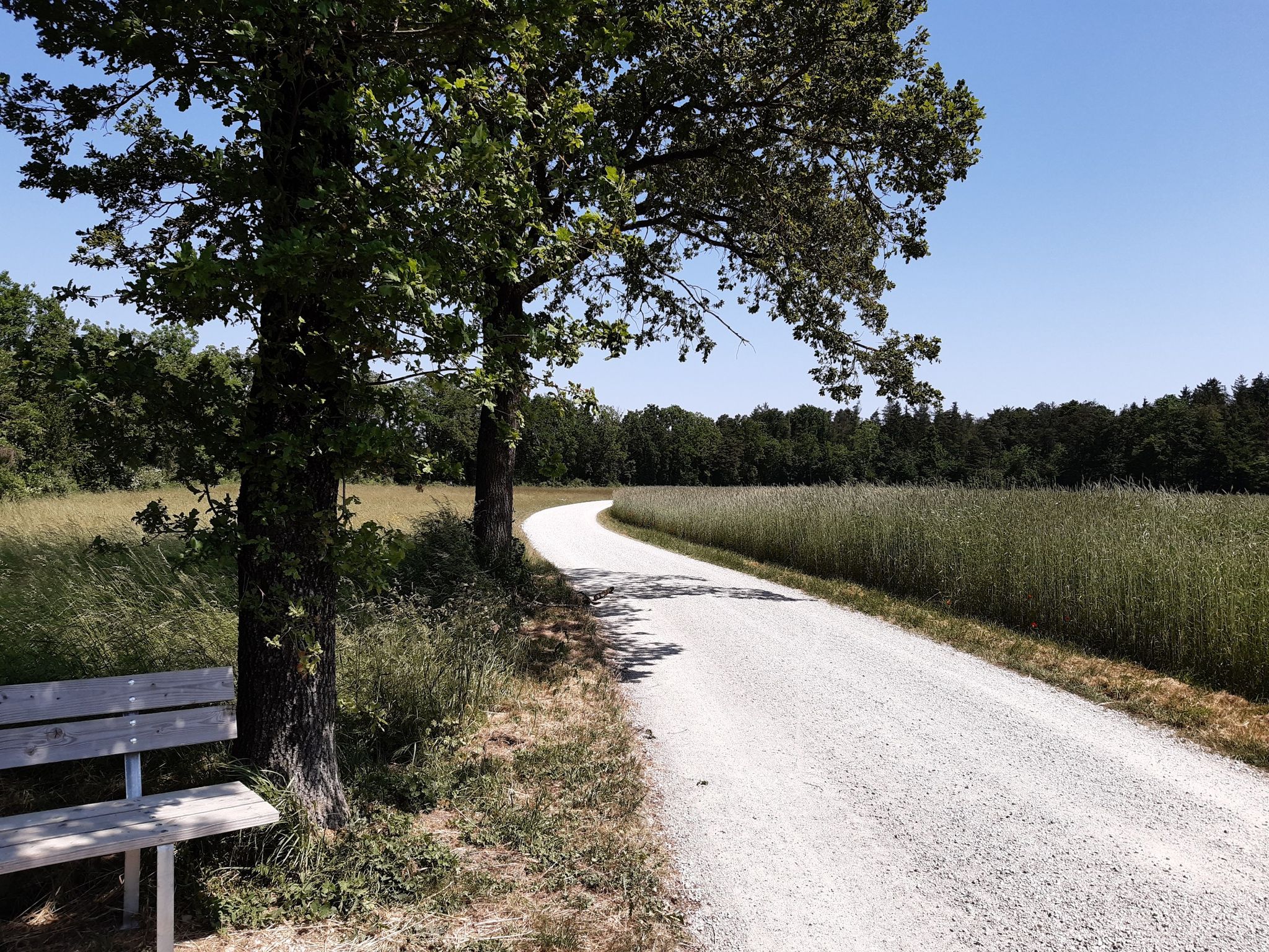 Die "Alte Poststraße" kurz vor Hohenwarth
