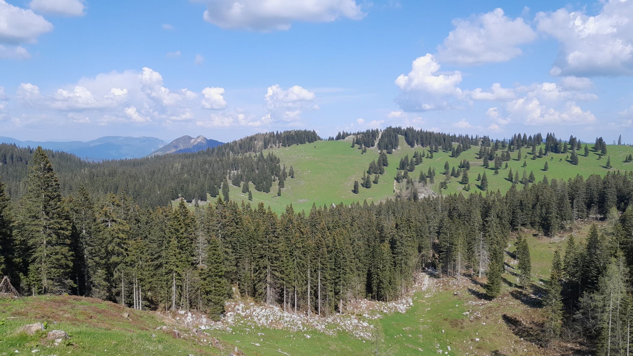 Panorama
