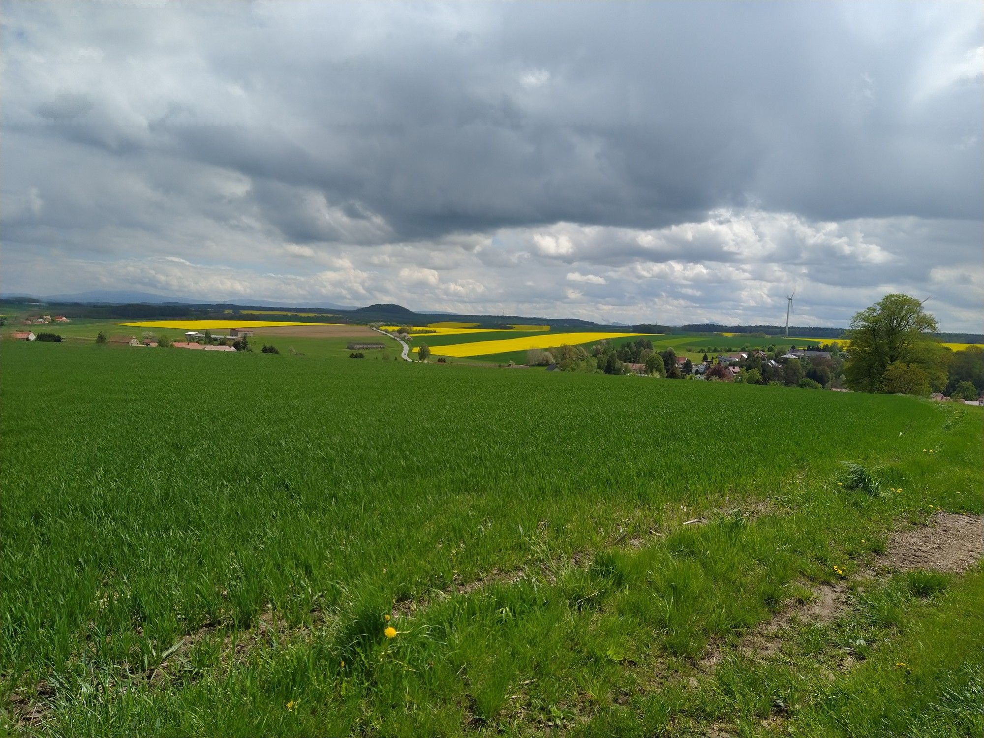 herrlicher Blick