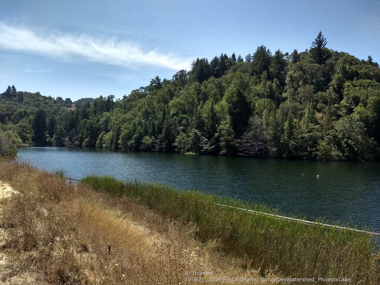 Serene lake bordered by dense green forest under a bright sky. - Phoenix Lake loop