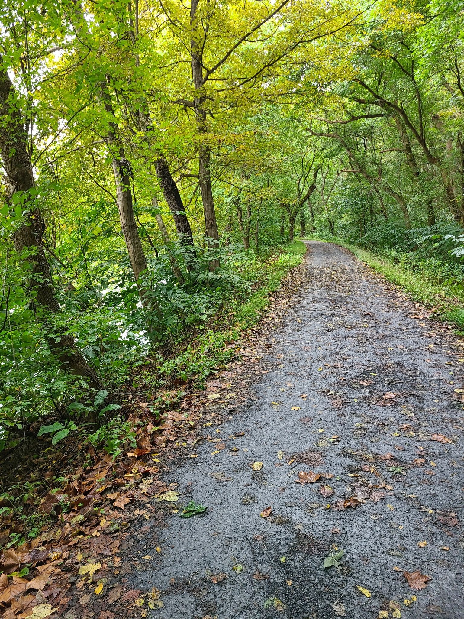 Trail near Shepherdstown, WV.