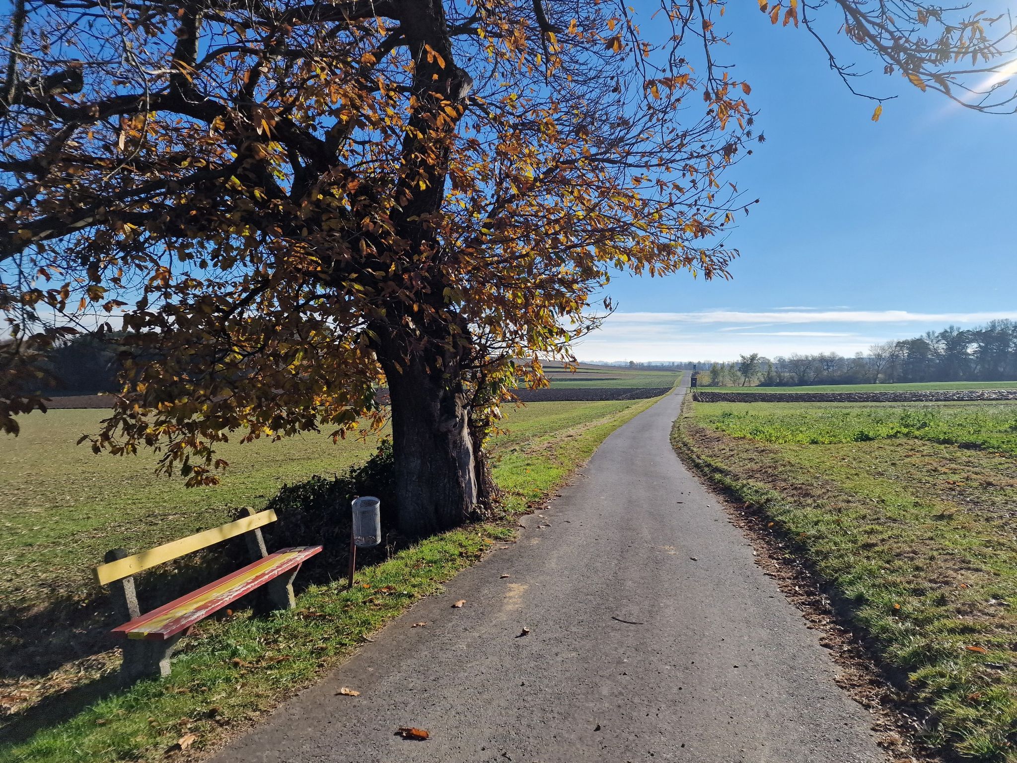 Alternativroute - am Radweg über Lindgraben nach Neudorf bei Landsee