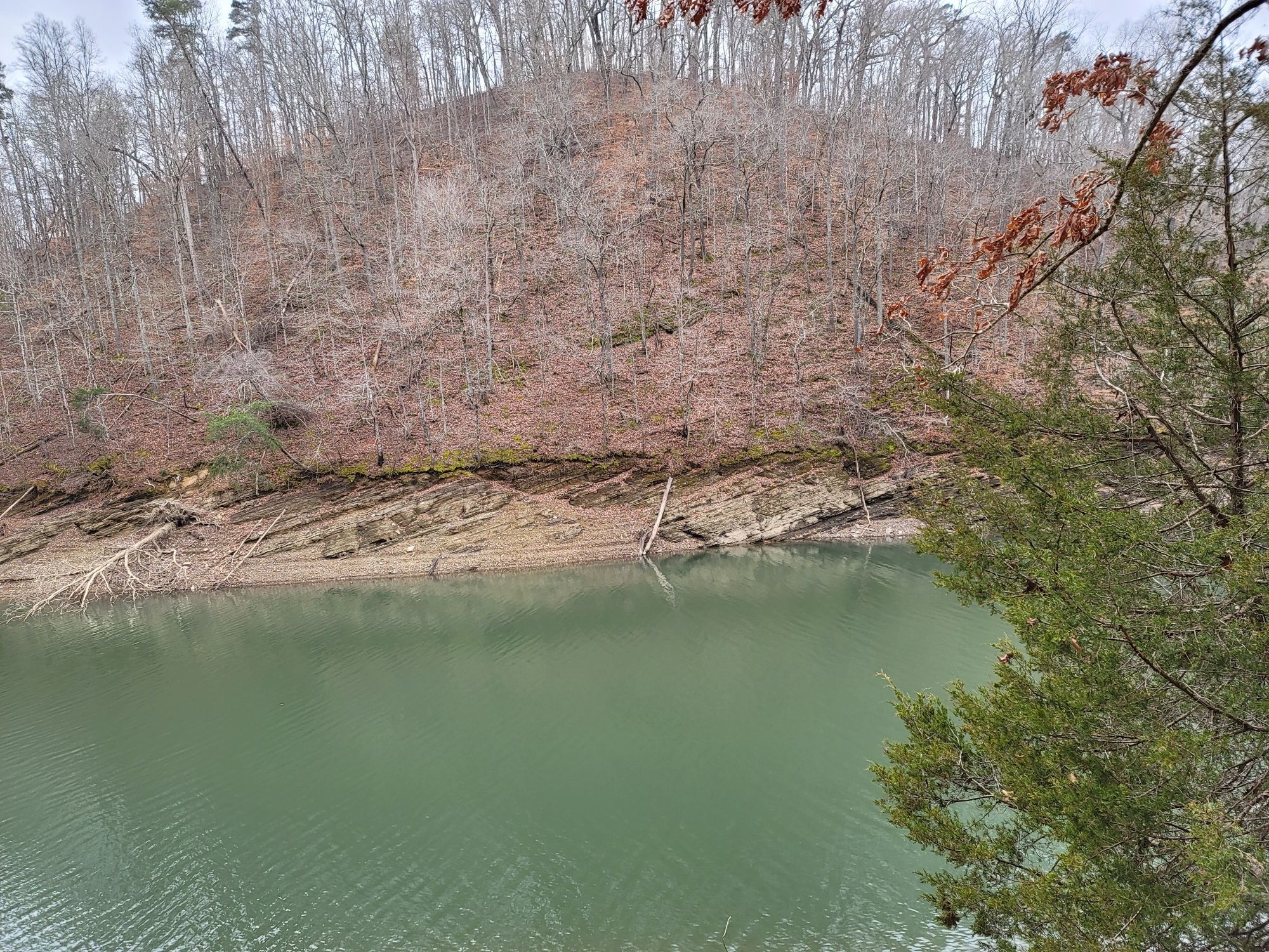 Green lake water with exposed rocky shoreline, backed by a hill of bare trees. - Big Ridge State Park loop from Big Ridge State Park
