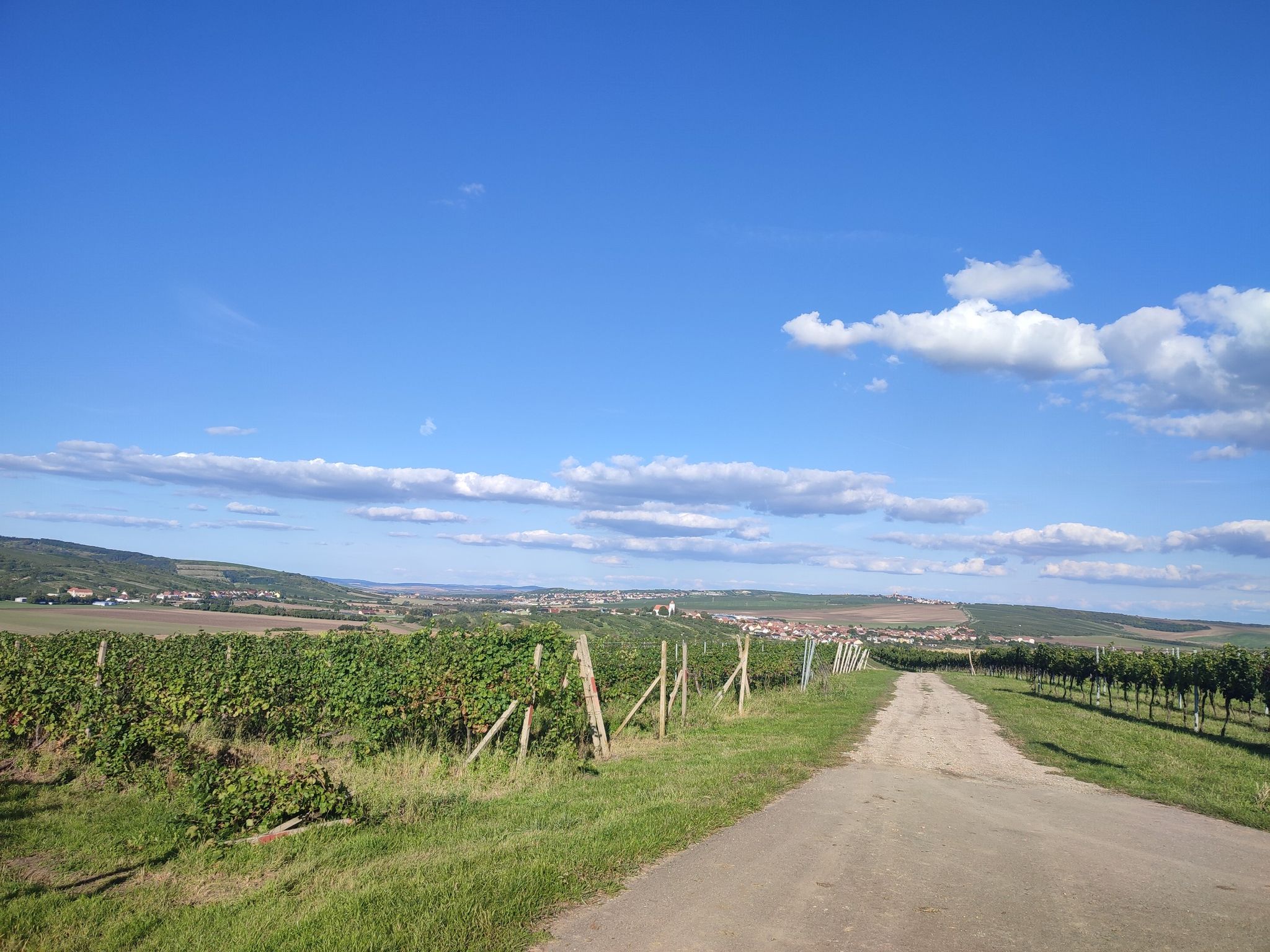 Weinberge und Dörfer