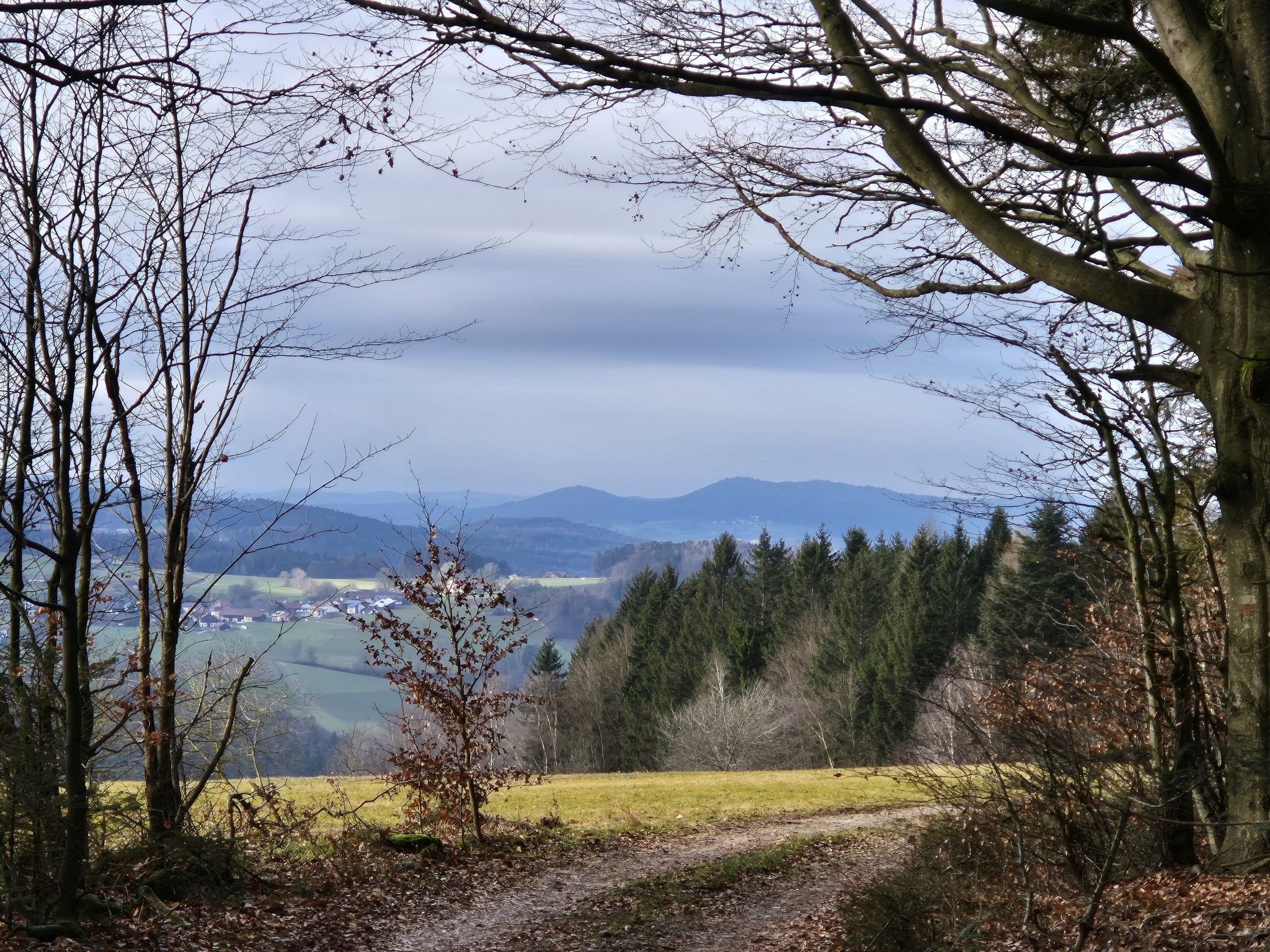 Blick zum Rothberg und Schwarzwihrberg