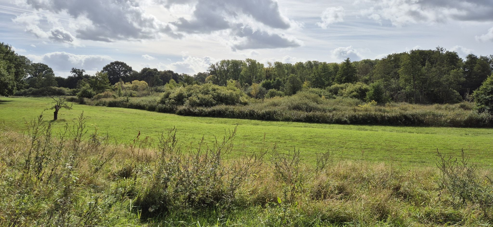 Quellgebiet