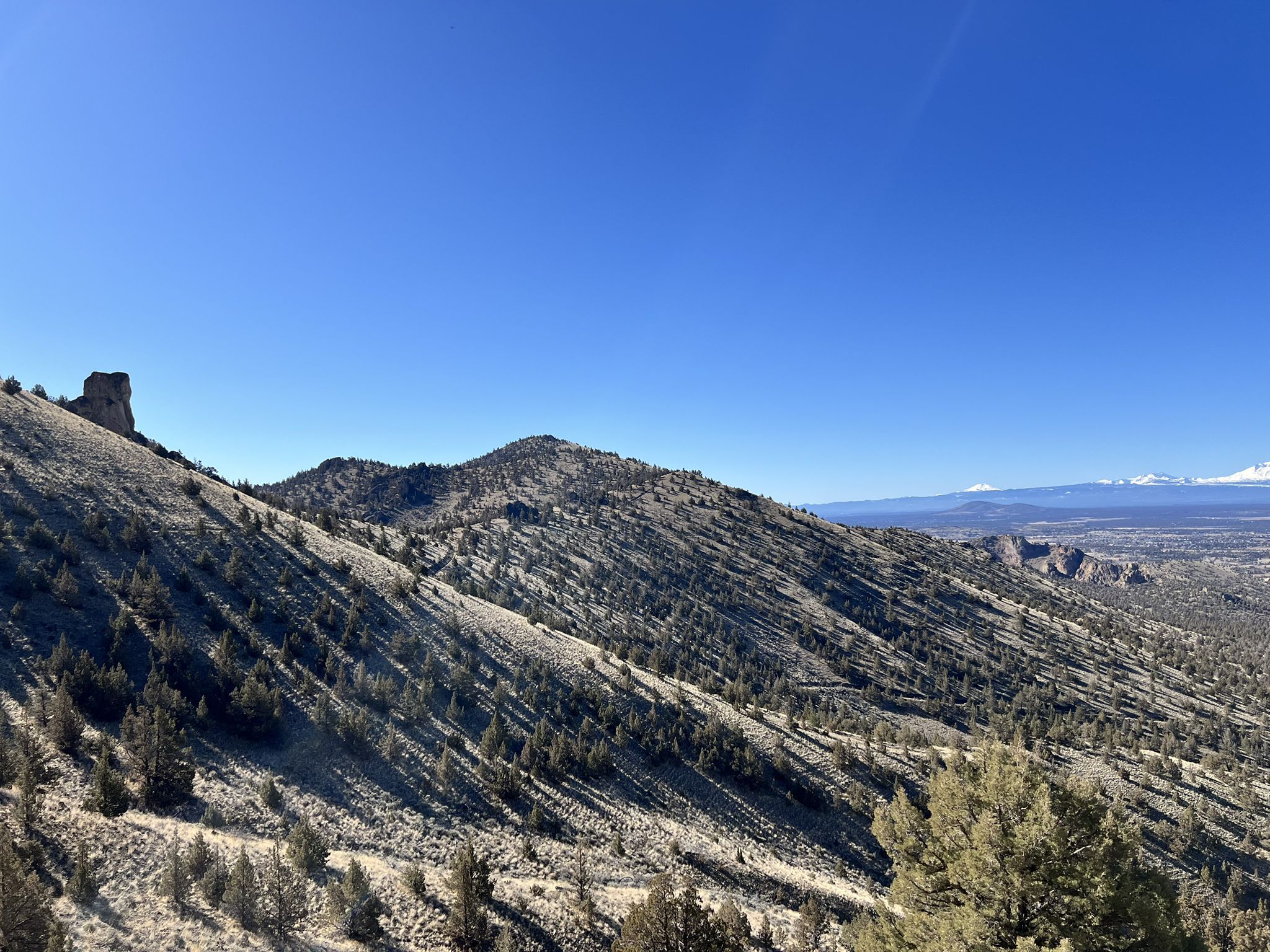 Expansive view of arid rolling hills and distant snow-capped mountains under a clear blue sky. - Gray Butte Trail