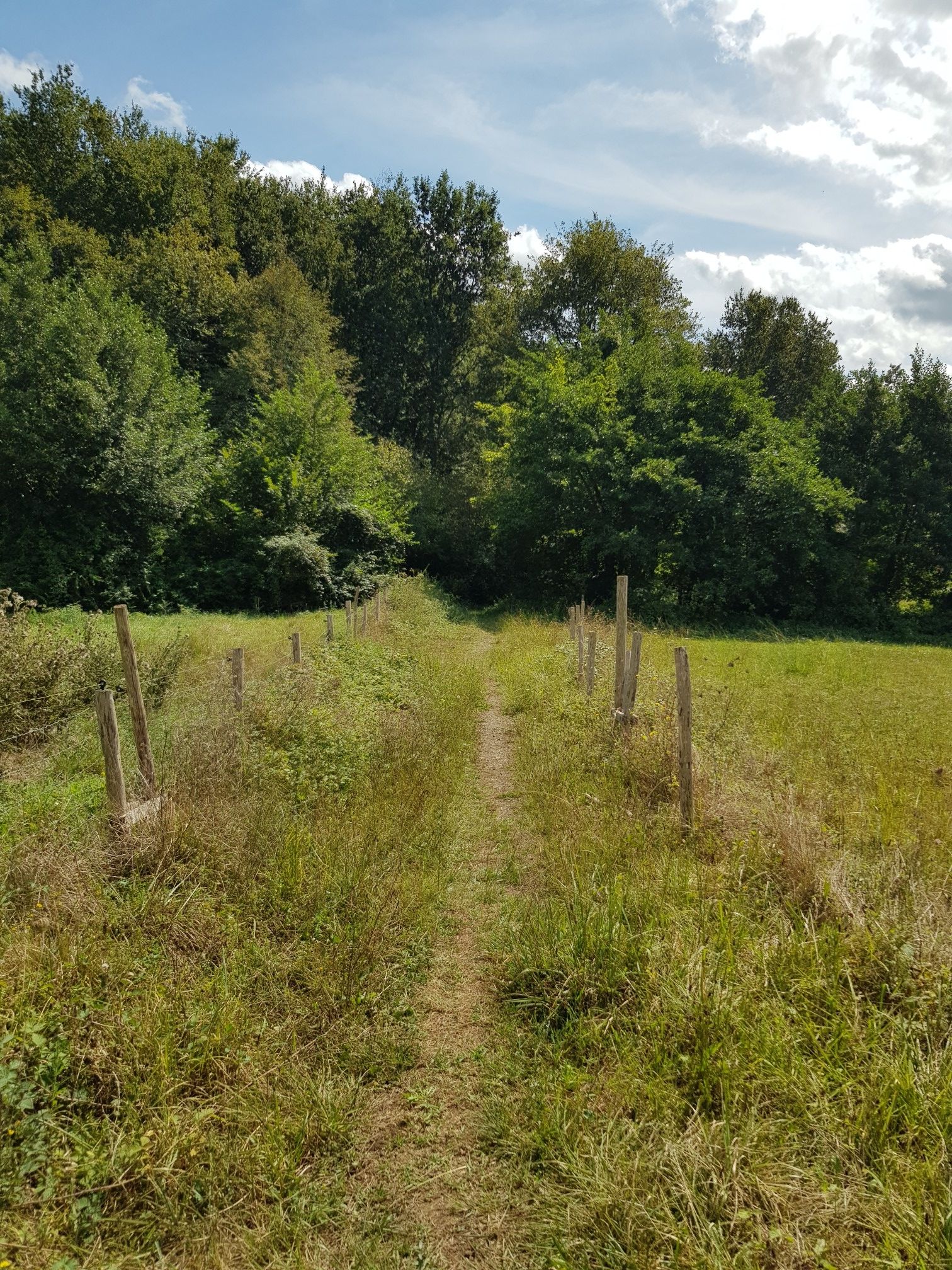 Je repasse au même endroit que tout à l'heure car je ne pouvais pas faire autrement...
