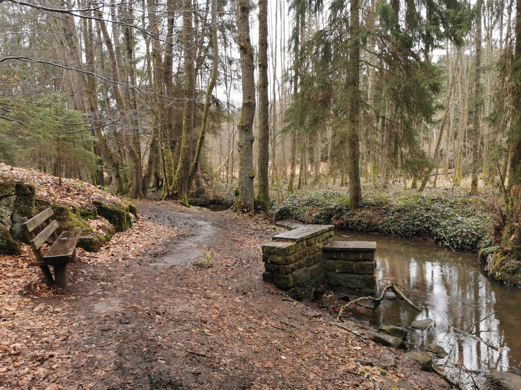 Homburger Forest Trails