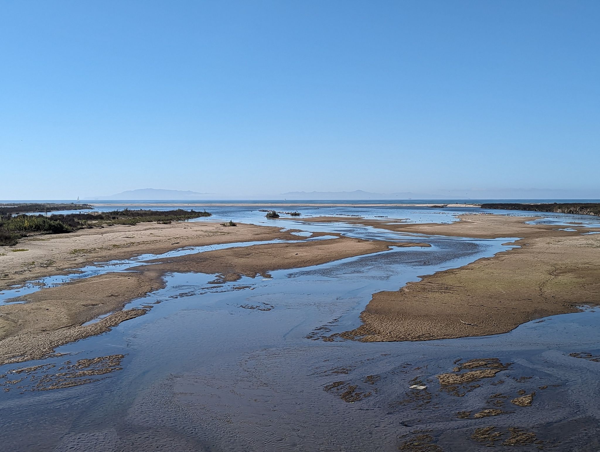 A wide river delta with sandy banks and water channels under a clear sky. - South Jetty Beach loop from Santa Clara Estuary Natural Preserve