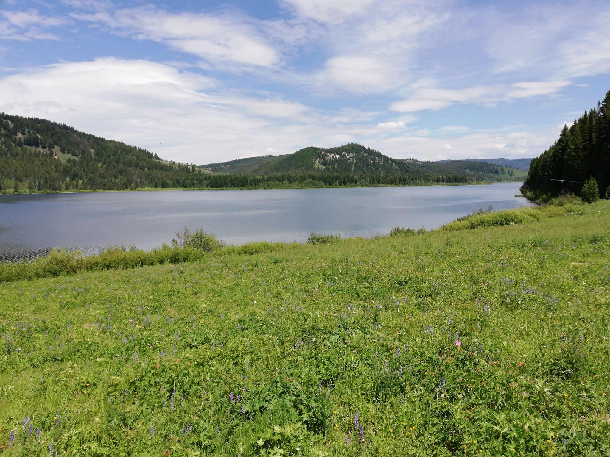 Blick auf den See