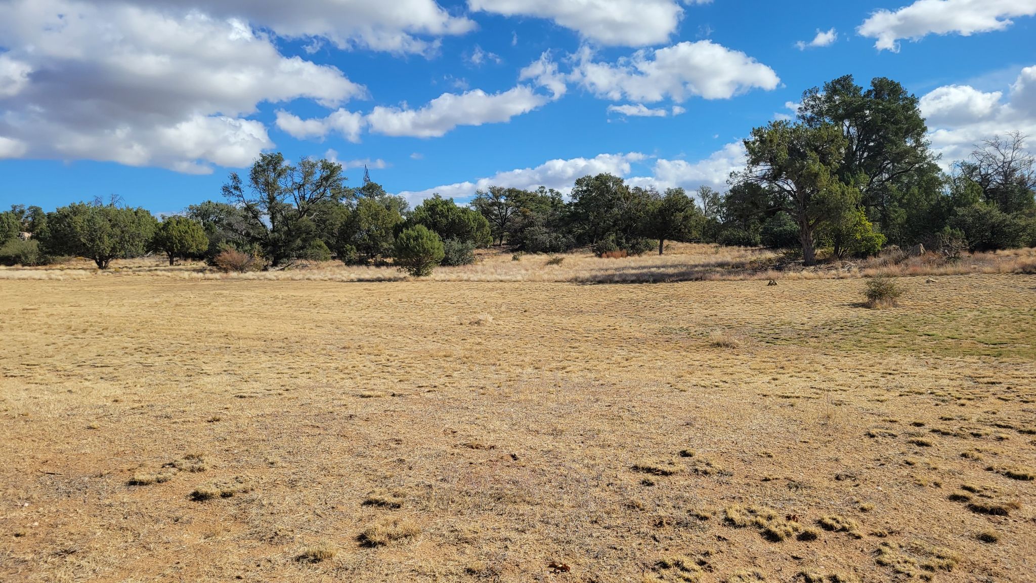 Wide view of a dry, grassy field under a bright, cloudy sky. - Almosta Trail #622