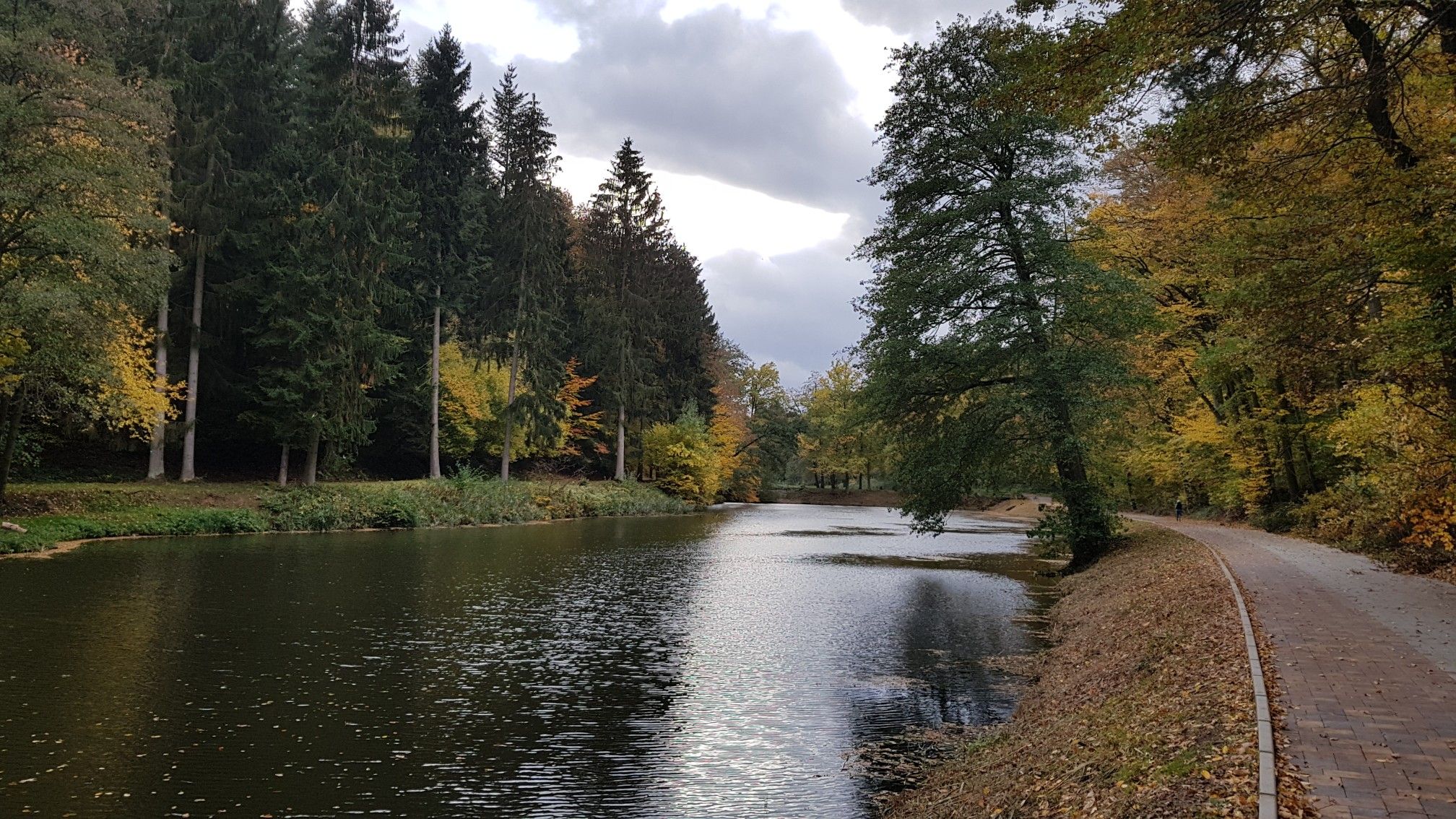 Weiher bei Enkenbach