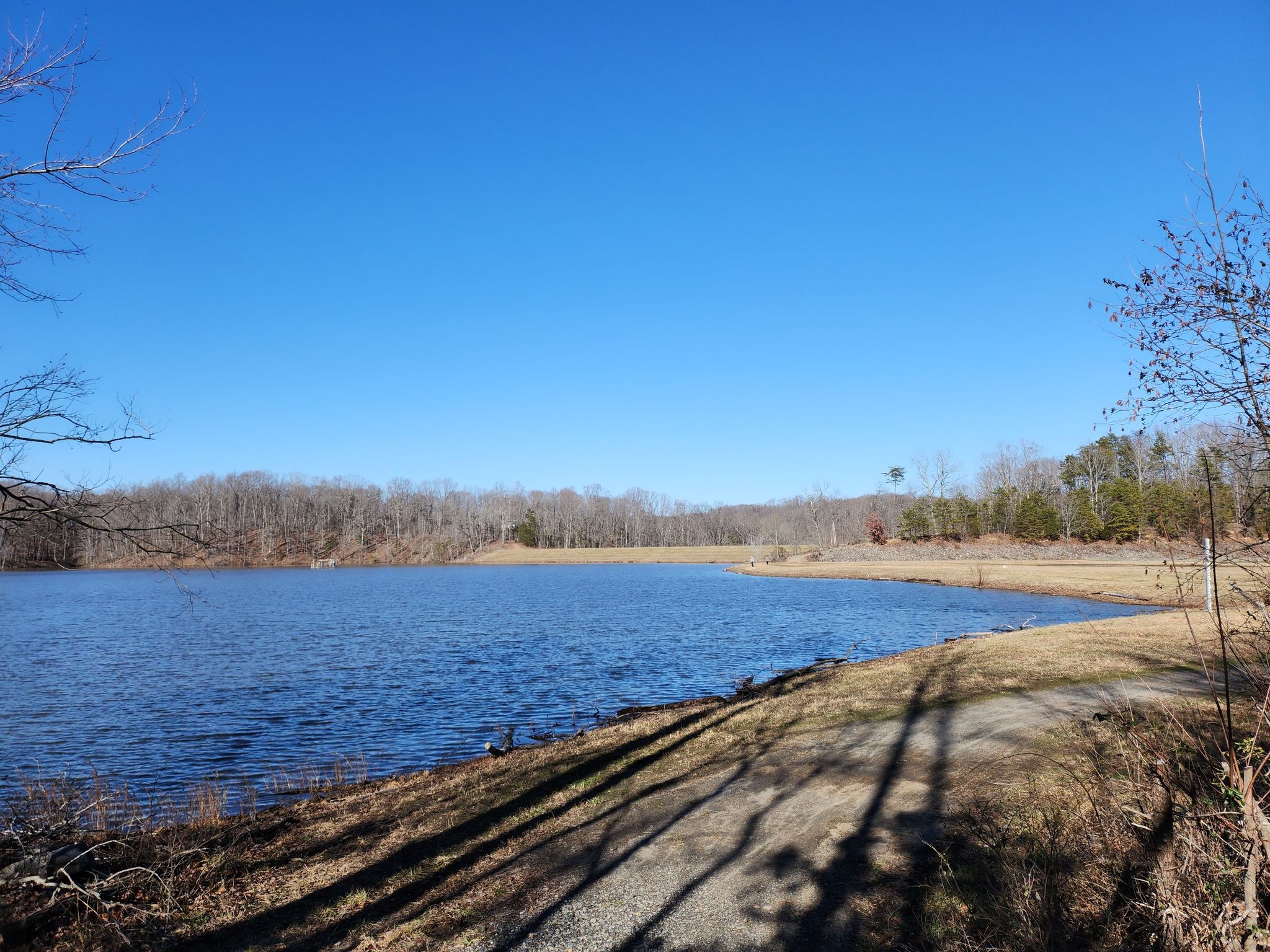 A calm lake surrounded by bare trees under a clear blue sky. - River access! – Motts Run loop from James Monroe High School