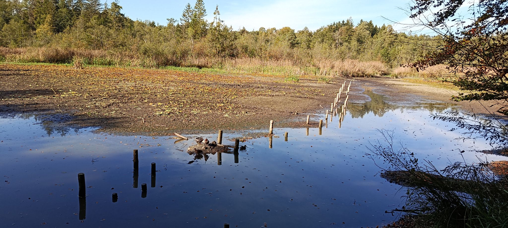 Hardtweiher