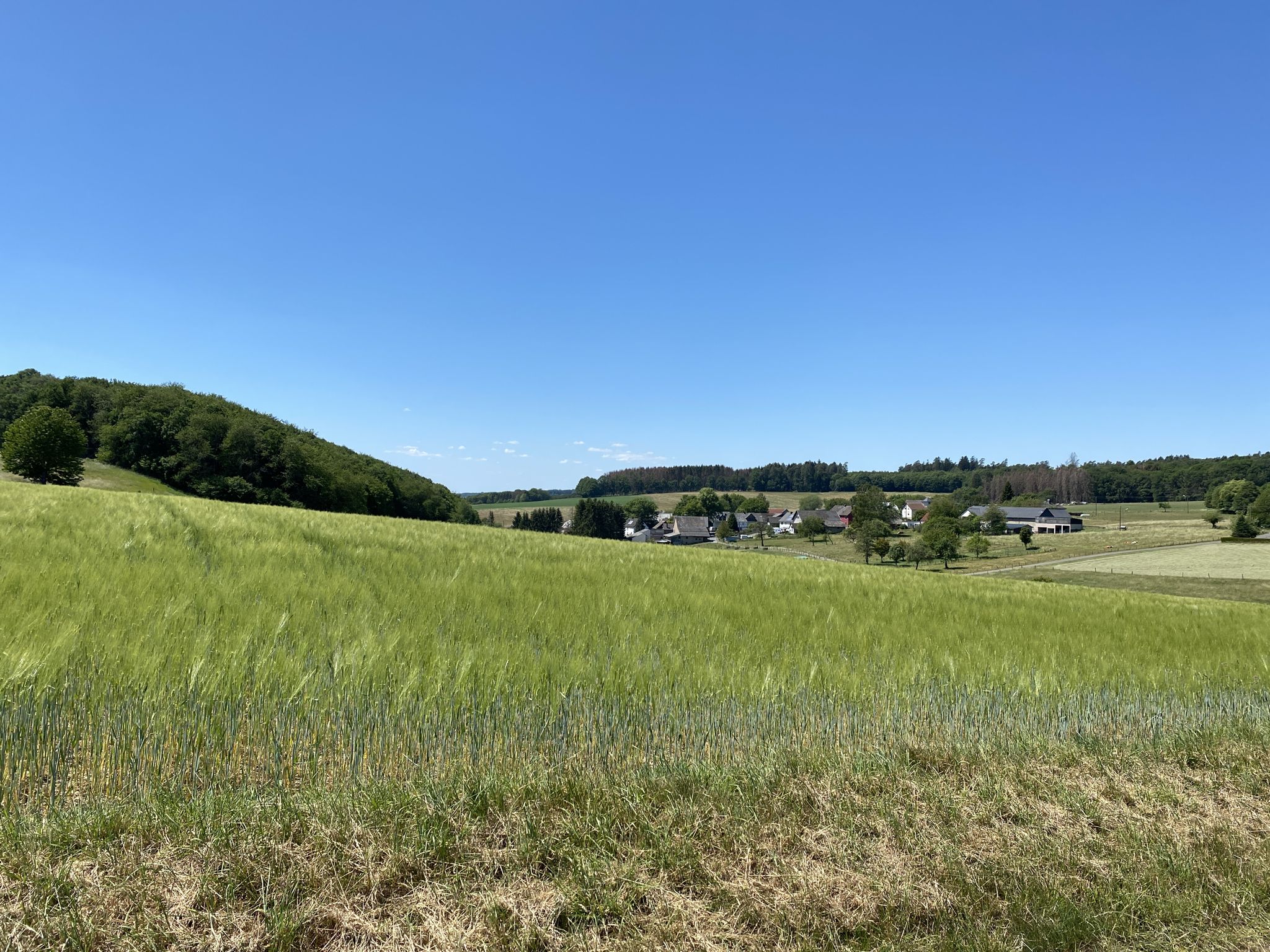 Volkerzen
