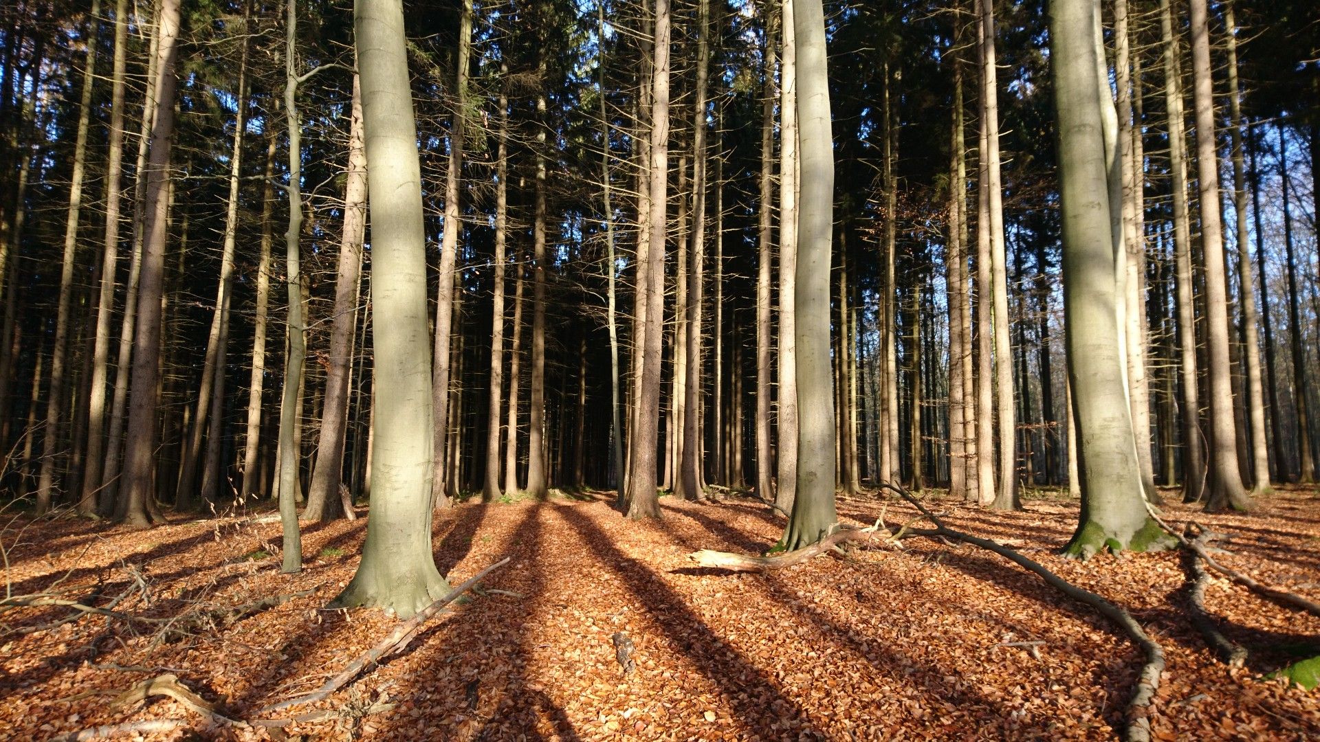 nicht leicht den Weg zu finden 
