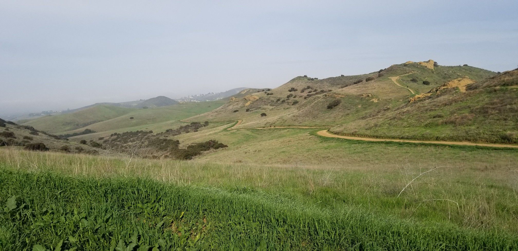 A winding dirt path through grassy, rolling hills under a cloudy sky. - Rancho Simi RPD Open Space – Albertson Motorway loop from Simi Valley