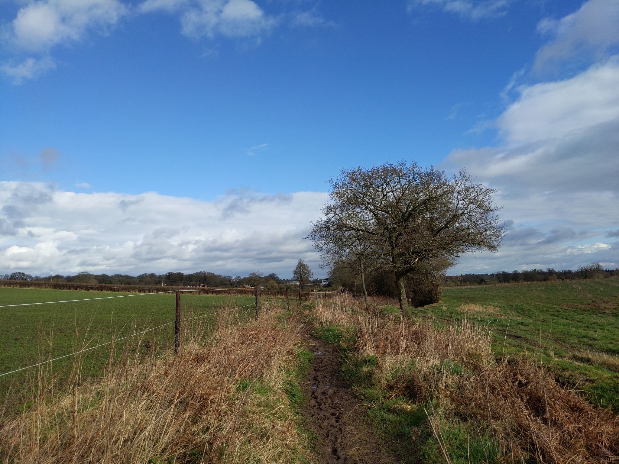Muddy paths!