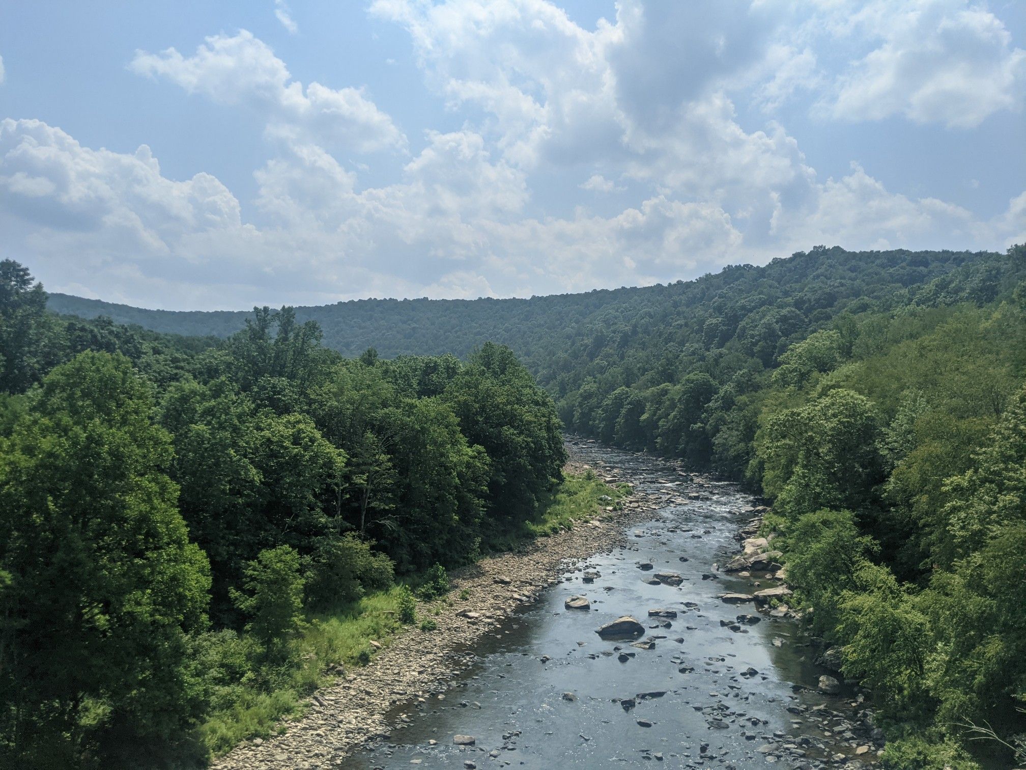 A wide river flows through a lush green forested valley under a cloudy sky. - Confluence – Wooden bridge loop from Fort Hill