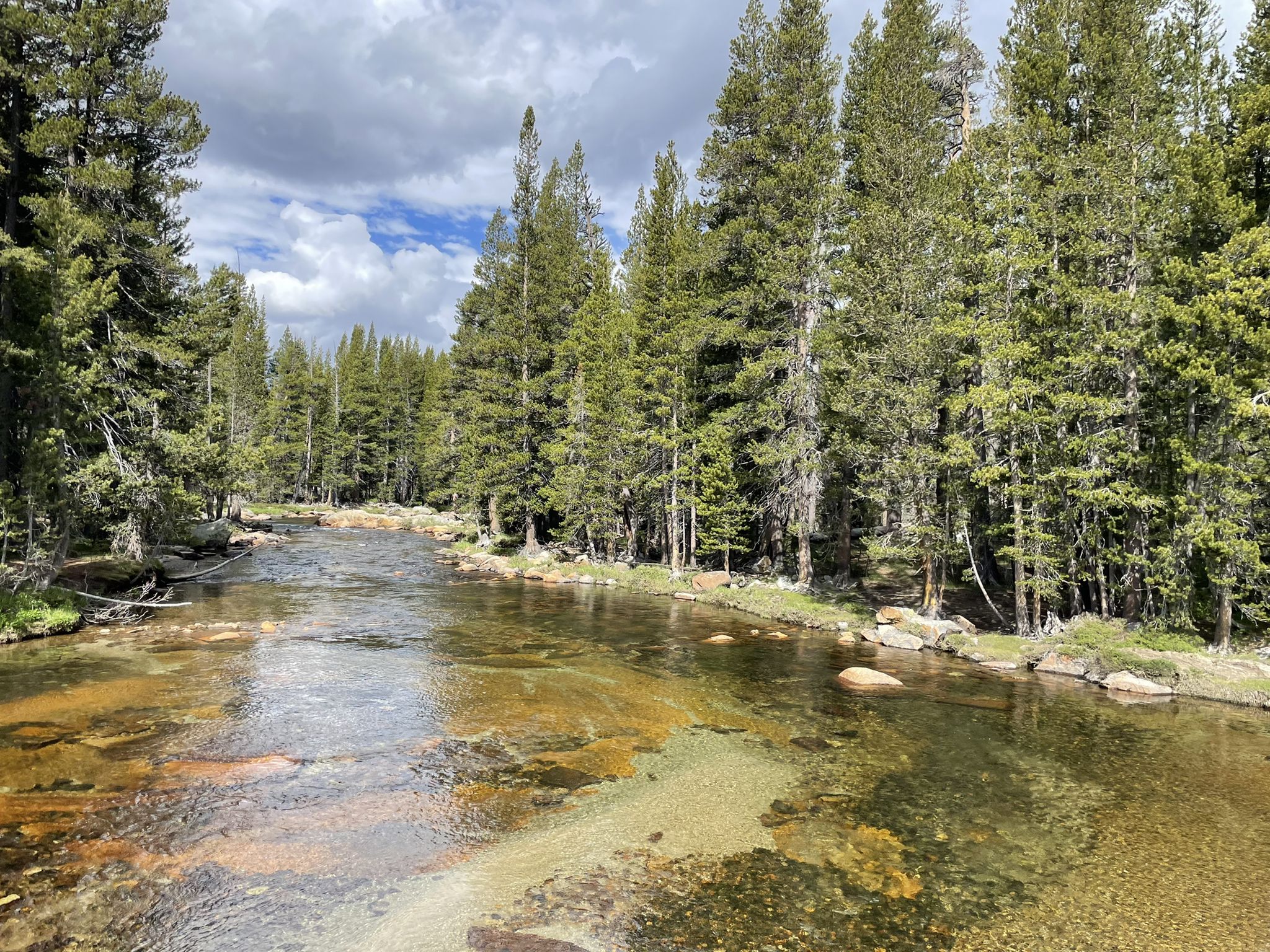Clear river flowing through a dense evergreen forest on a cloudy day. - Tuolumne Meadow – Lembert Dome loop from Parsons Memorial Lodge