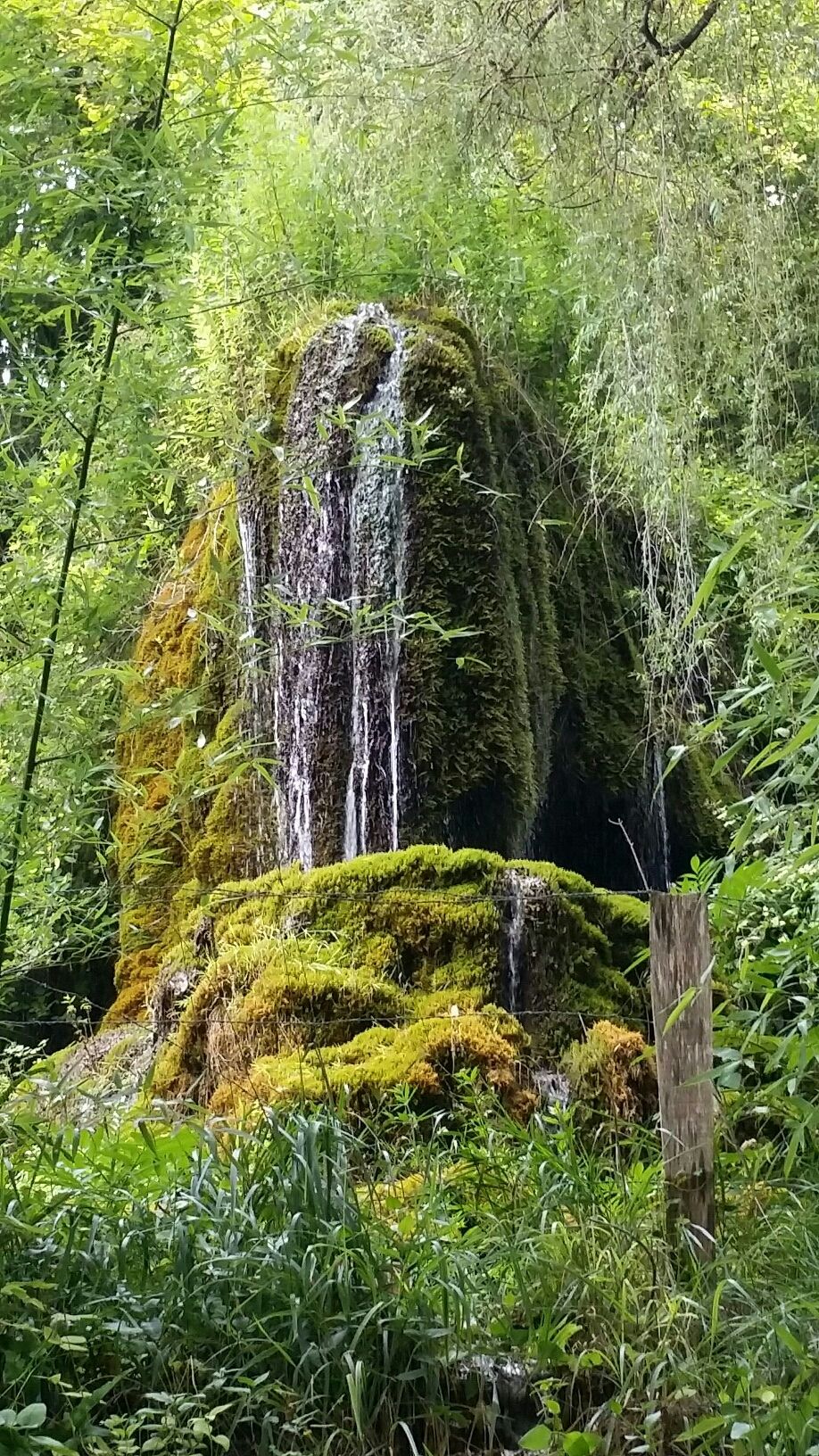 kleiner Wasserfall am Wegesrand