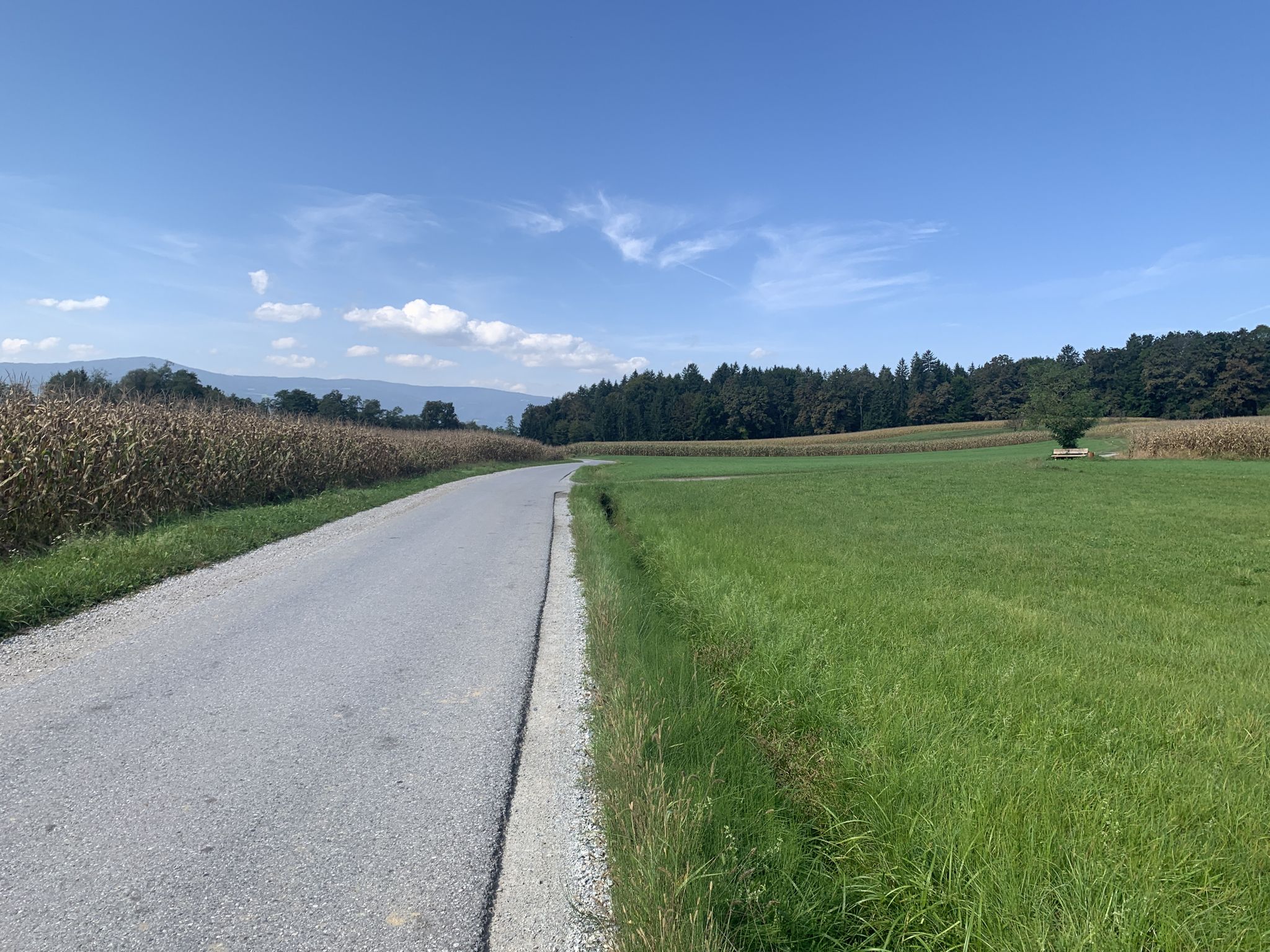 R9 Kummersdorfweg
