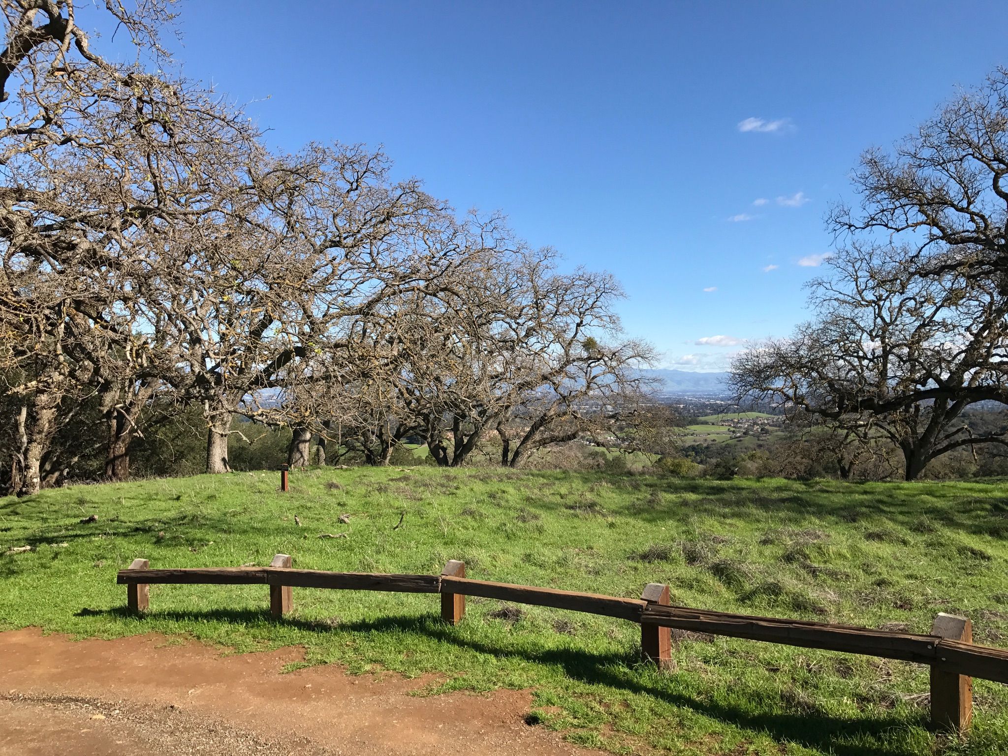 Sunny green hillside with large bare oak trees and a wooden fence. - Hiking loop from Rancho San Antonio County Park