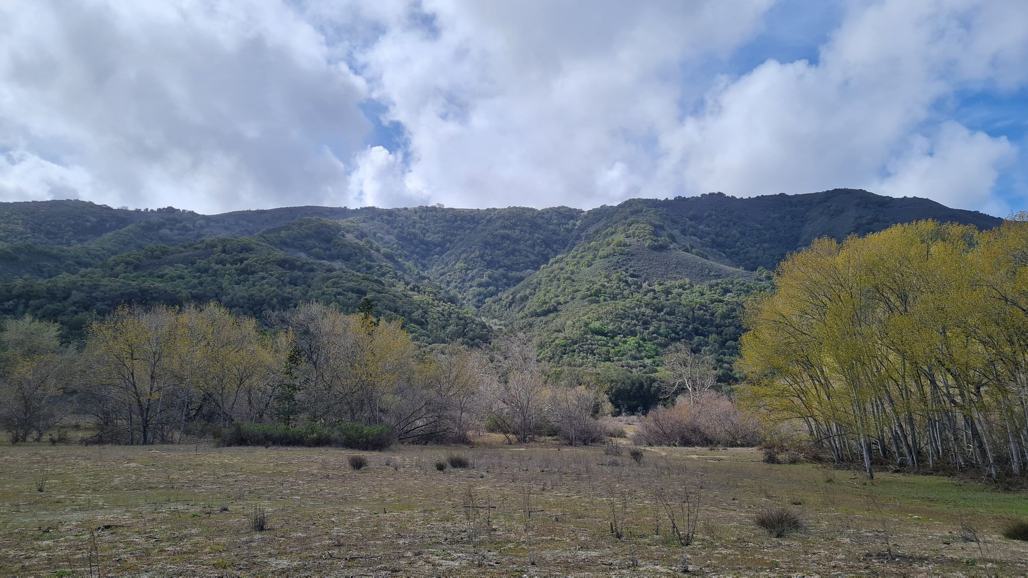 A wide view of green mountains above a field with trees. - Running loop from Carmel Valley Rd / Laureles Grade