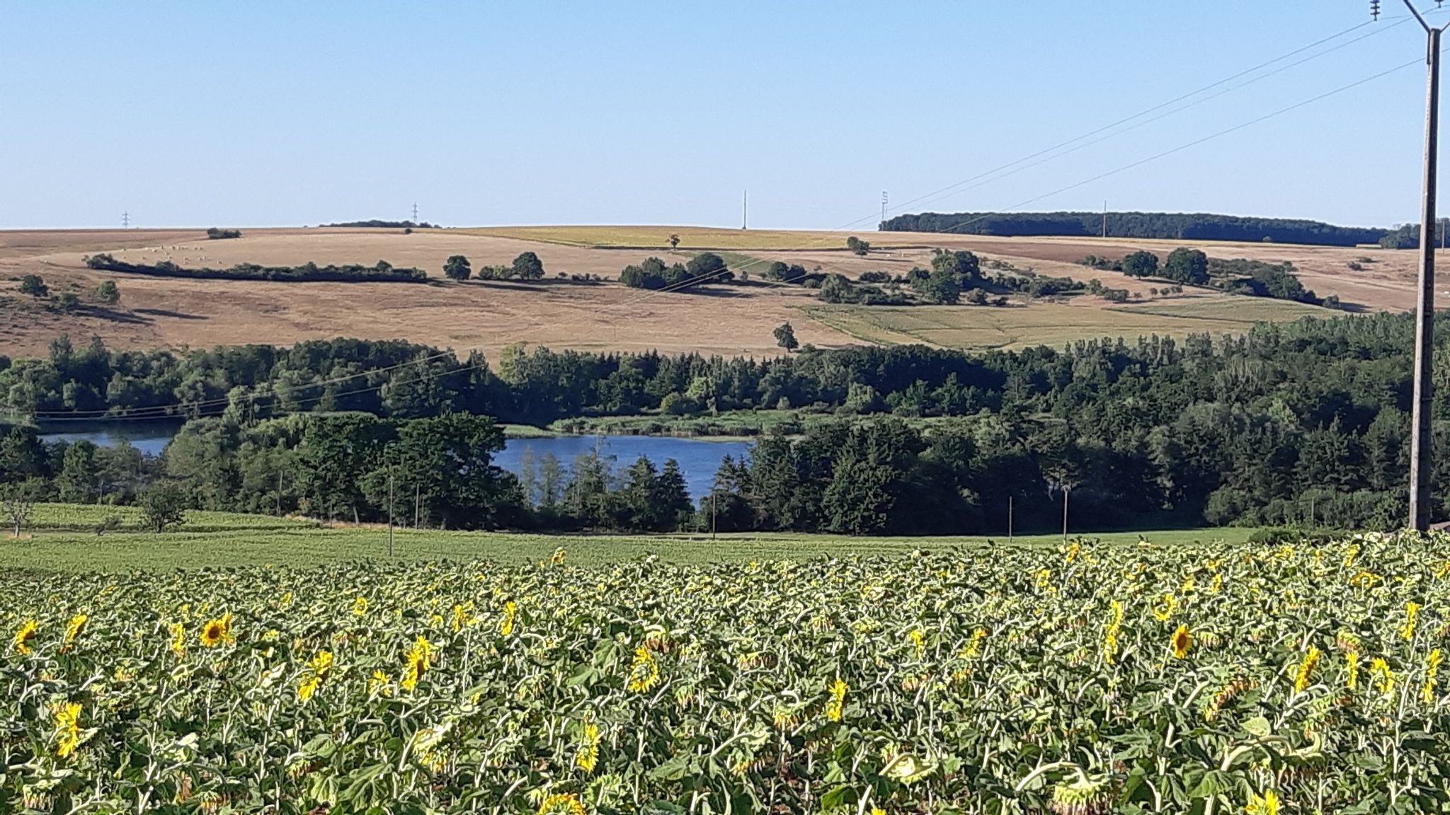 Etand de Wuisse. (privé)