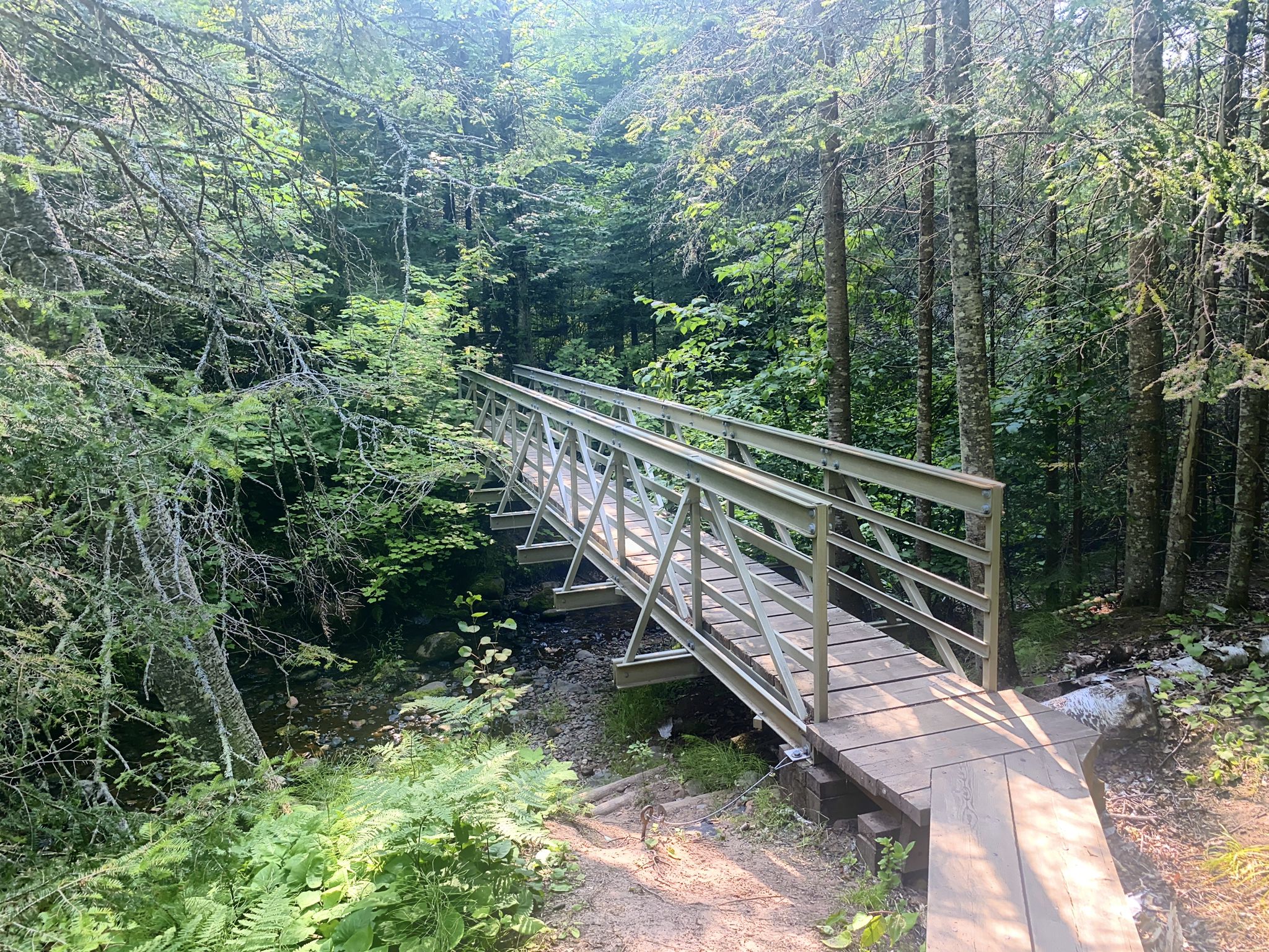 Wooden and metal bridge spanning a small creek in a sun-dappled forest. - Meyers Beach loop from Saxine Creek Habitat Area