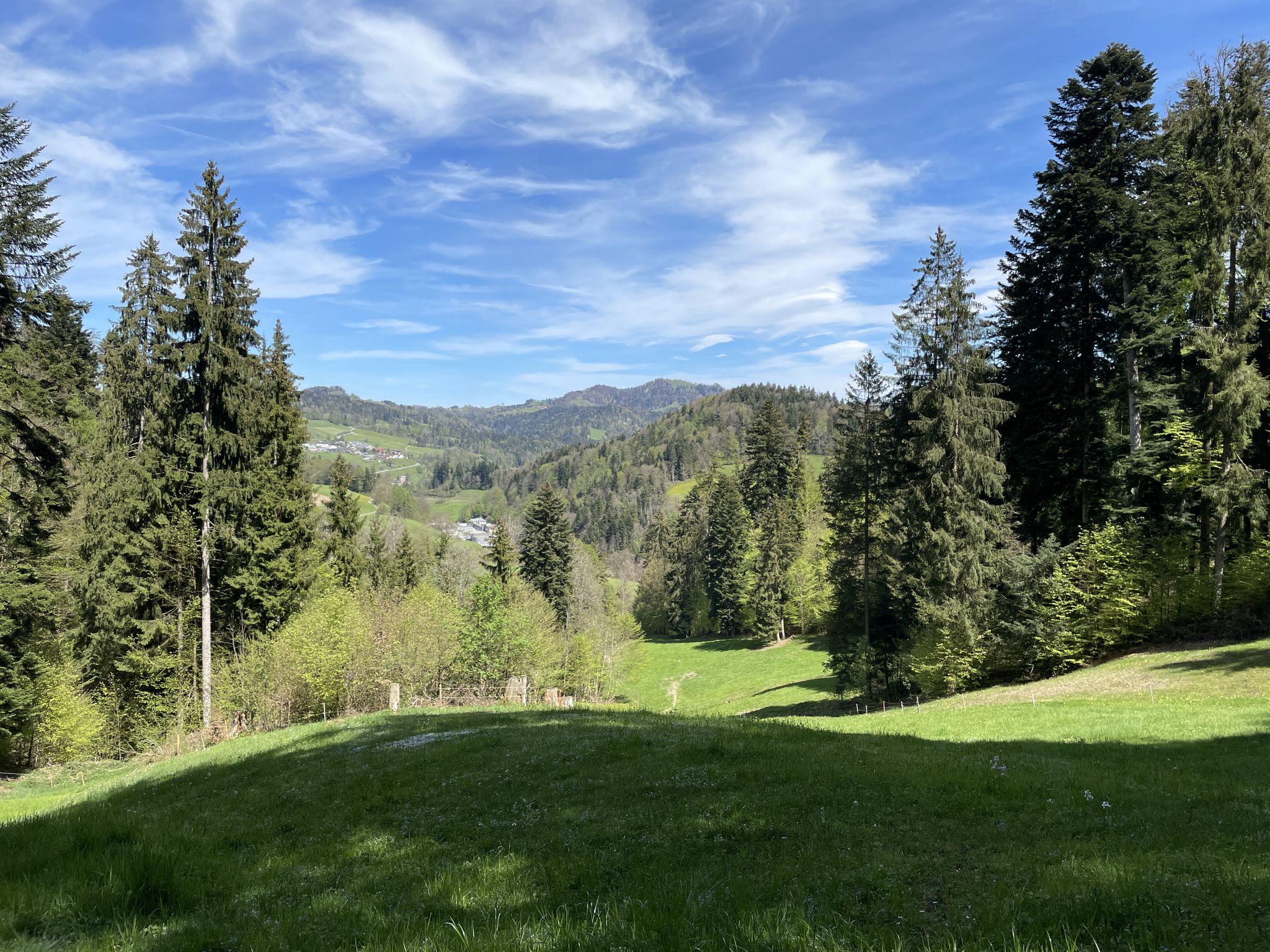 Hörnliblick