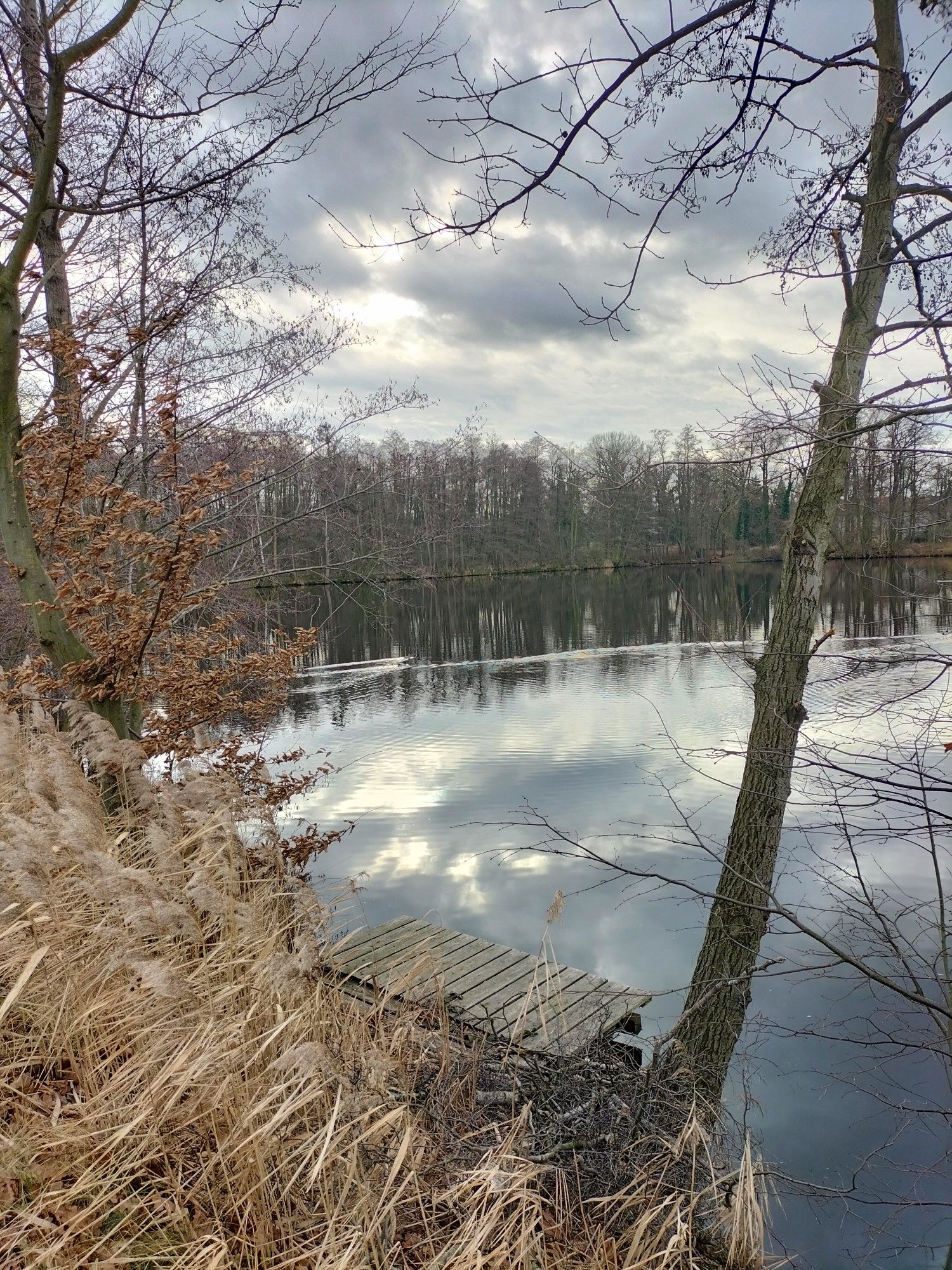 Mühlteich