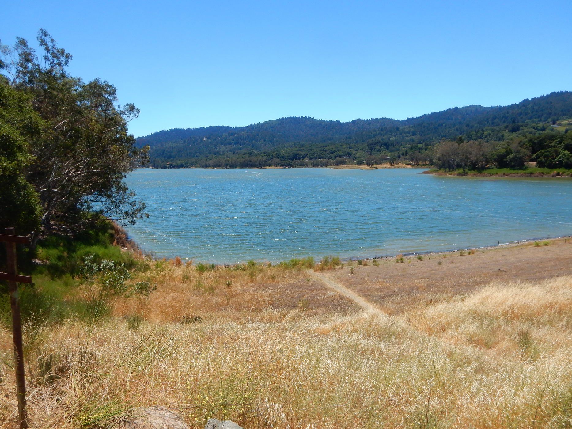 A wide view of a blue lake surrounded by green hills and dry grass. - Lexington Reservoir – Lexington Reservoir loop from Summit