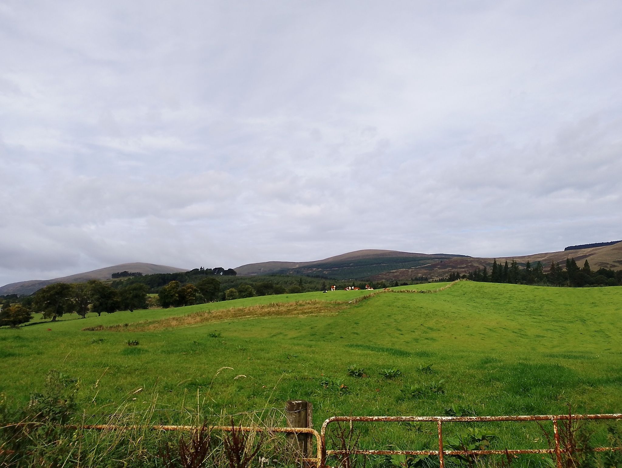 Ochil Hills view.
