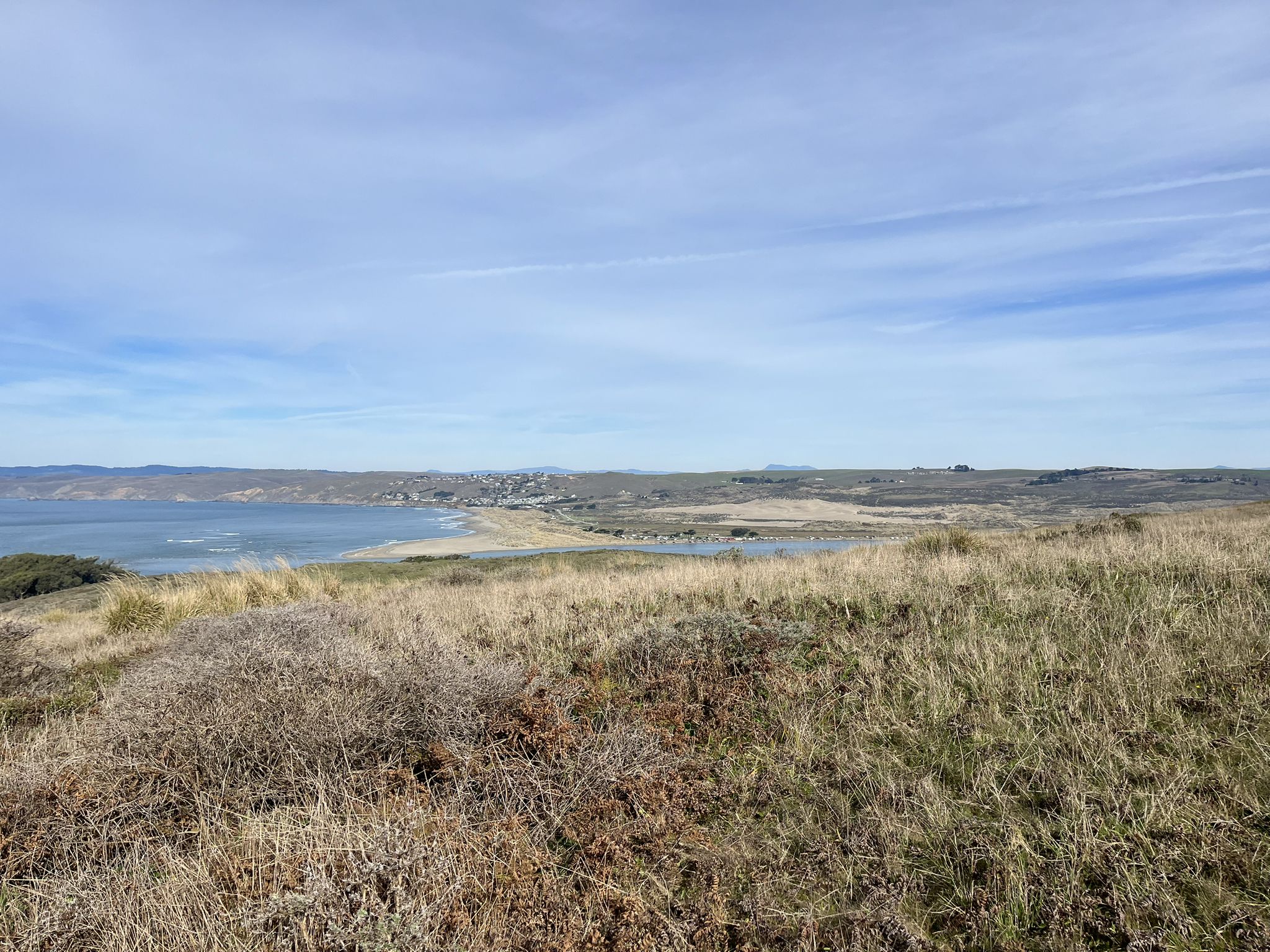 Grassy hills overlook a calm bay and distant coastal town under a bright sky. - Tomales Point Trail