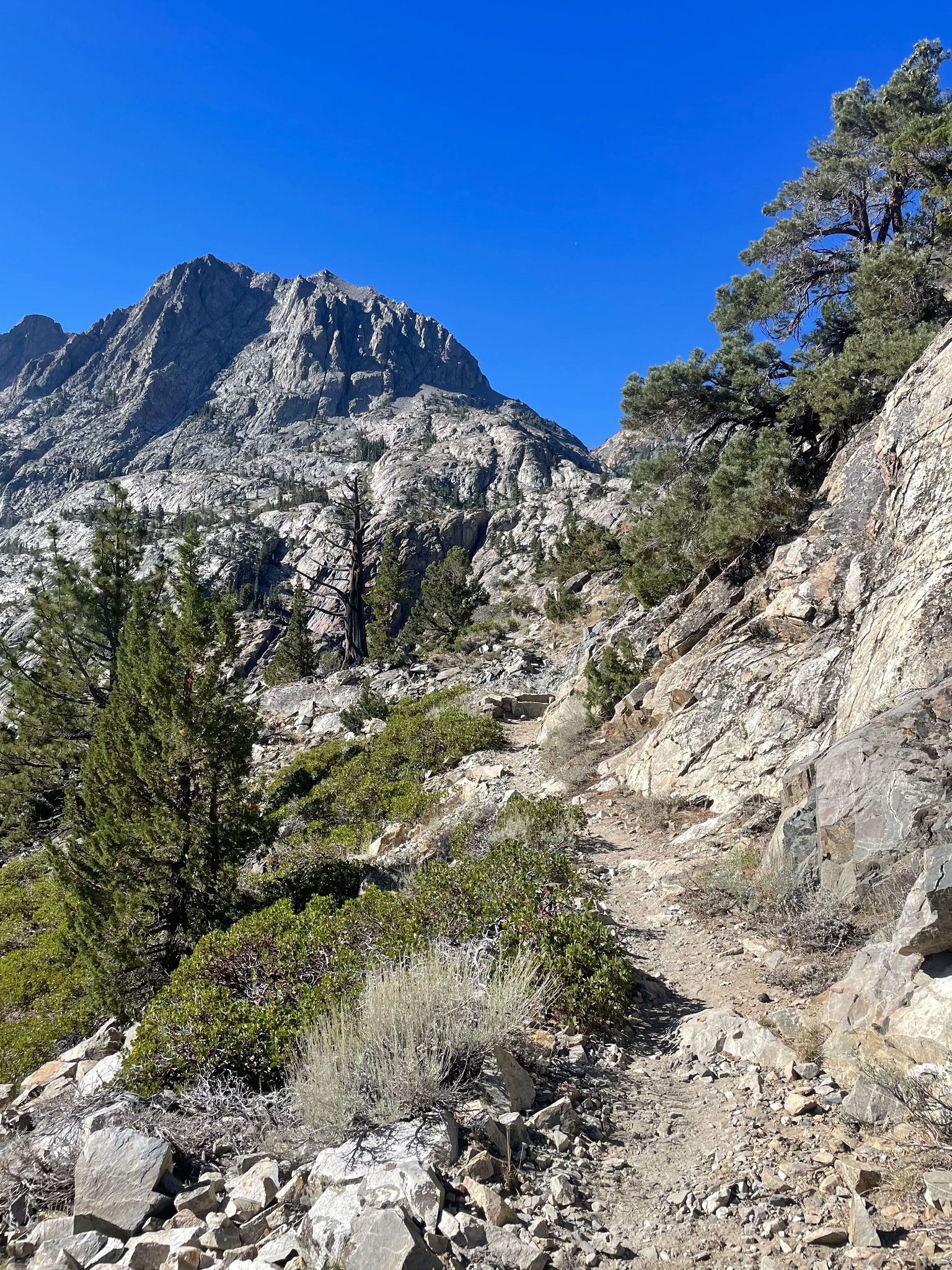 Rocky mountain trail ascending towards a rugged peak with scattered trees. - Rush Creek Trail to Agnew Lake